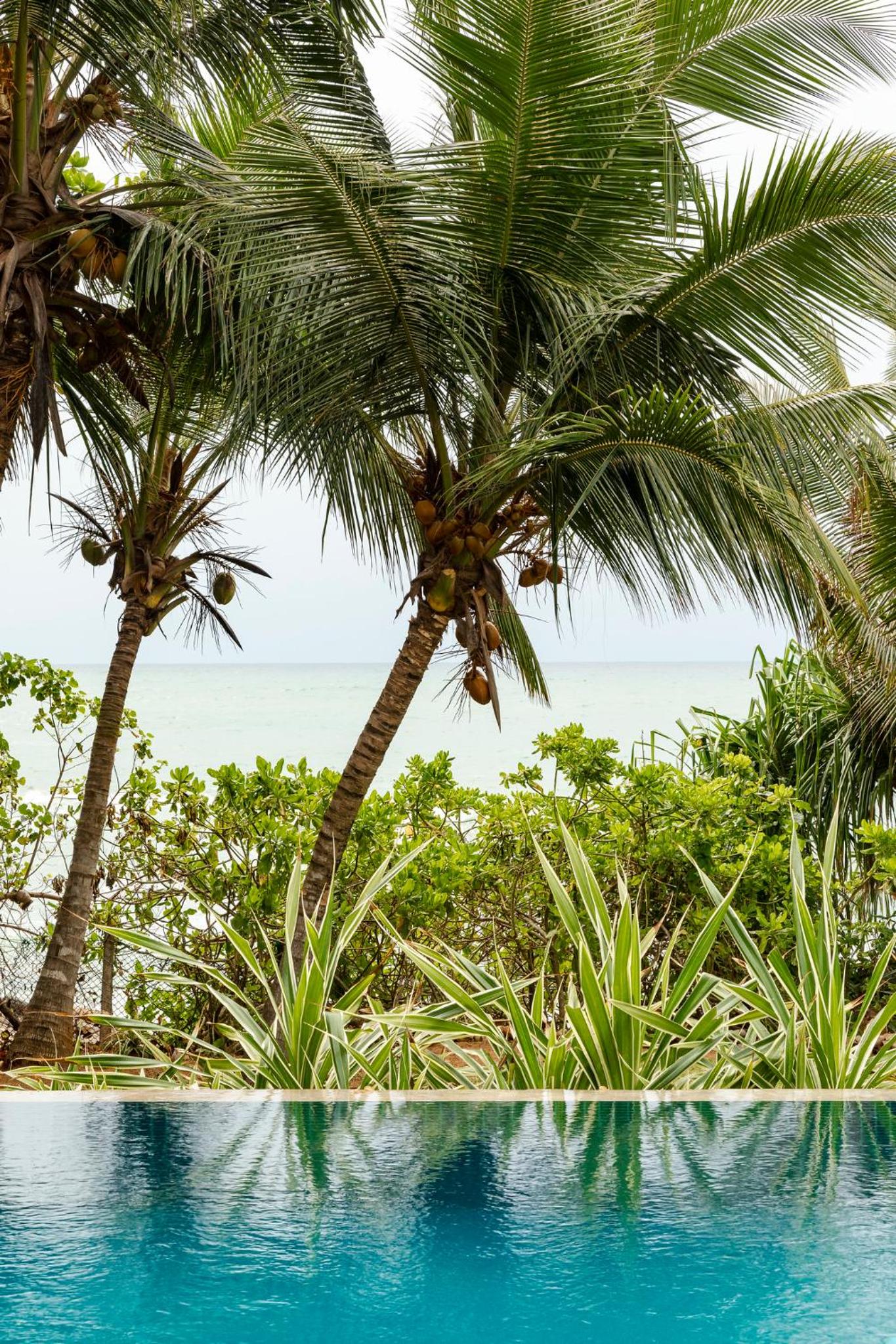 Coco Tangalla