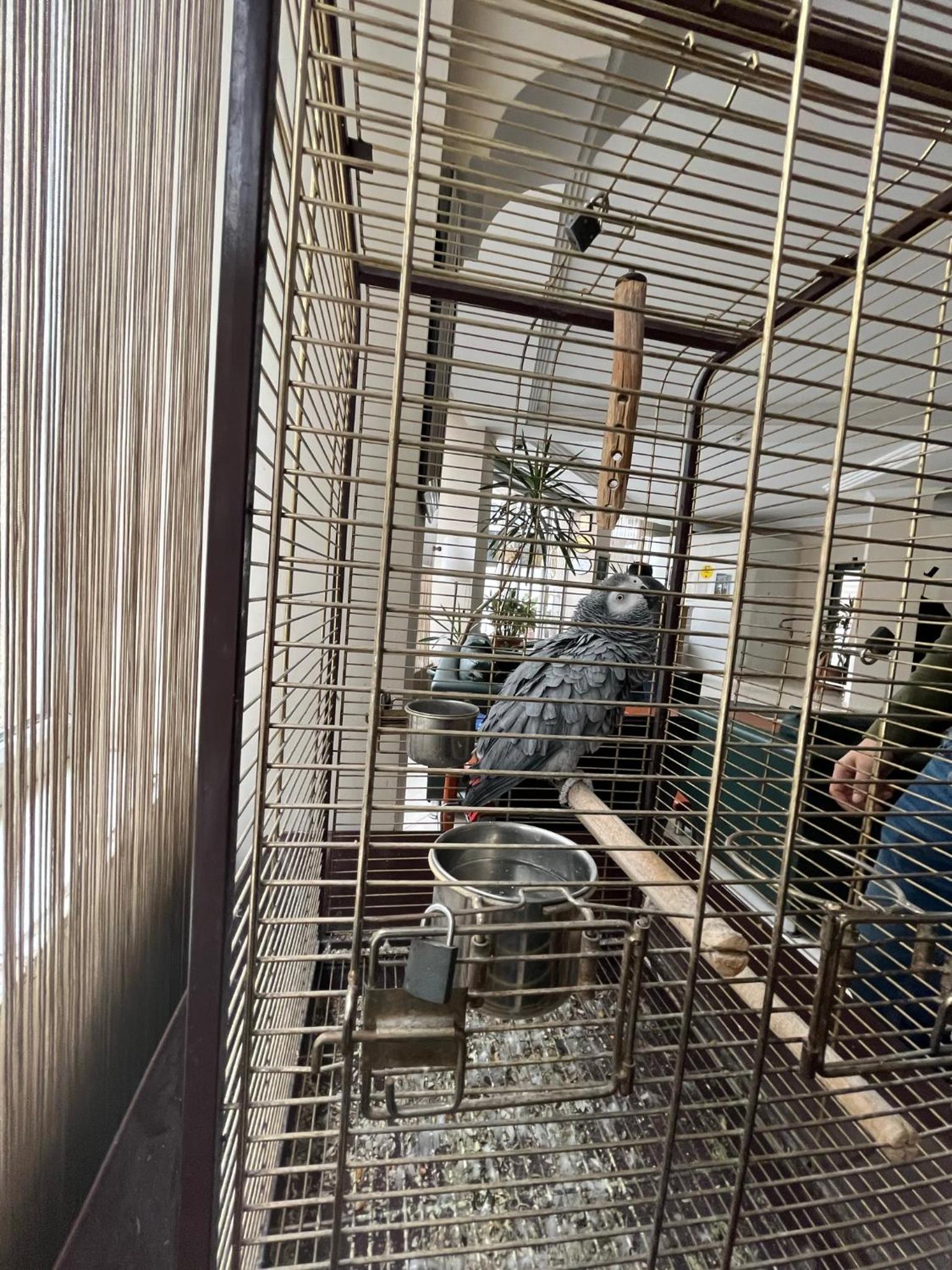 Topkapı Otel - Image 46