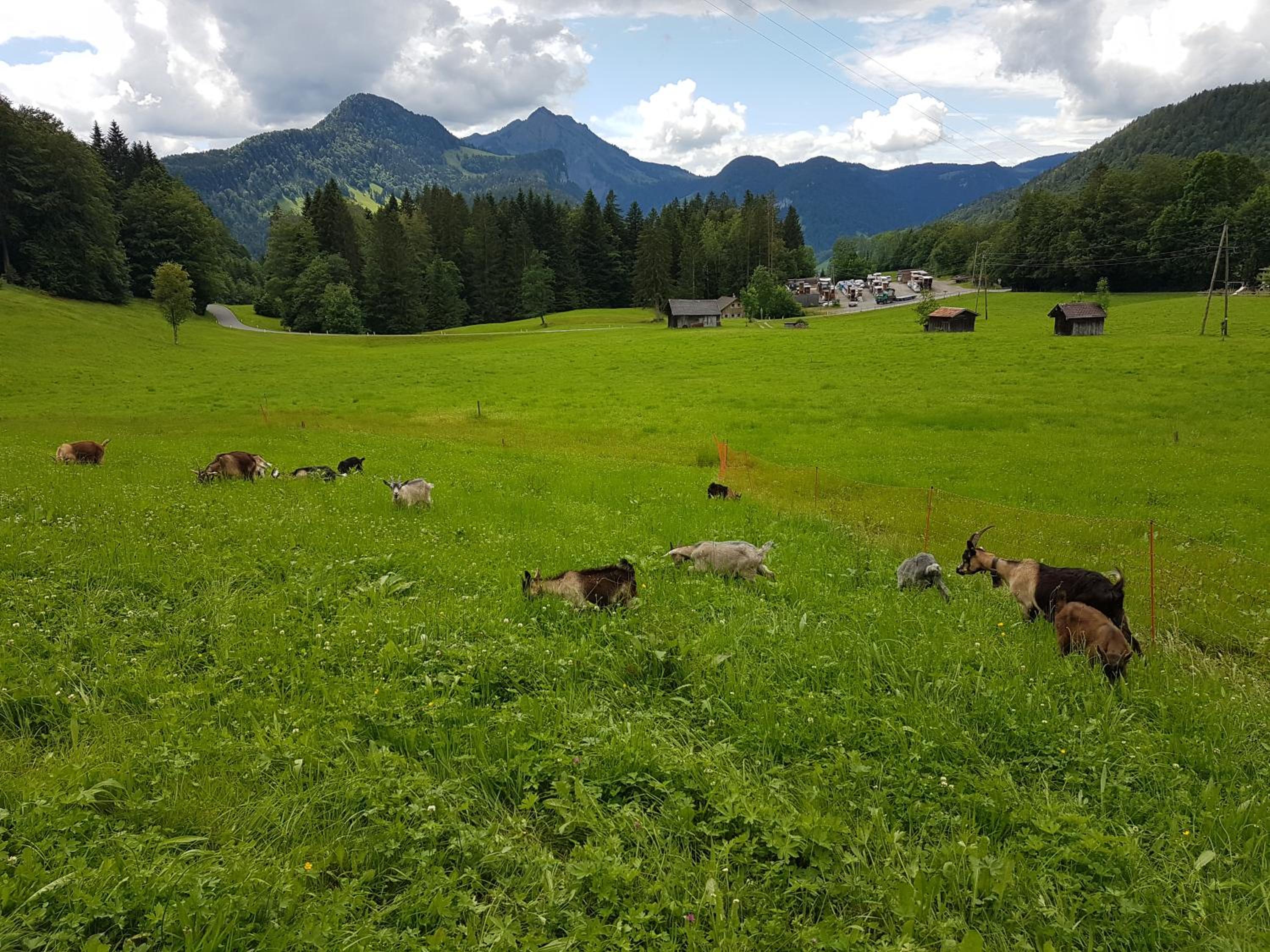 Hirschberghütte