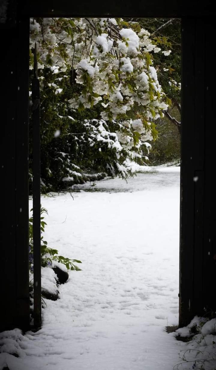 Arden Country House BnB - Entire house to yourself -peace in the country