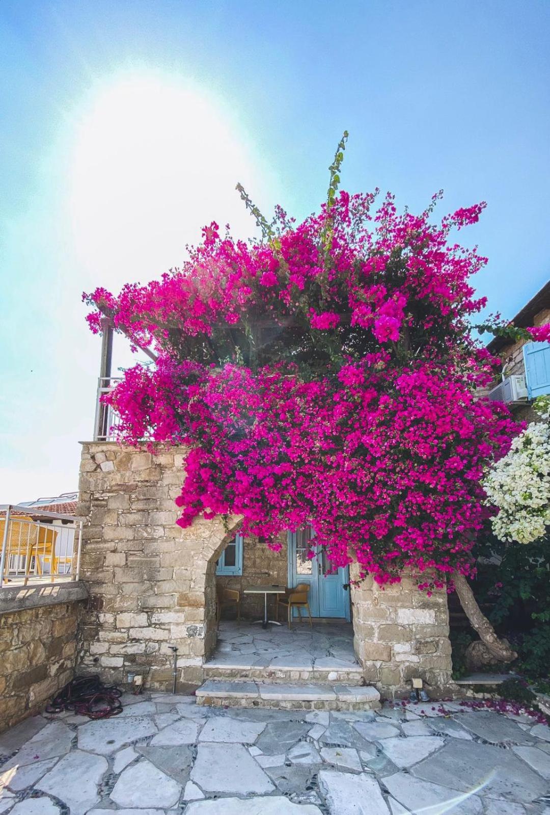 Cyprus Villages - Hotel & Restaurant - Central Location - Bed & Breakfast With Access To Pool And Stunning Views