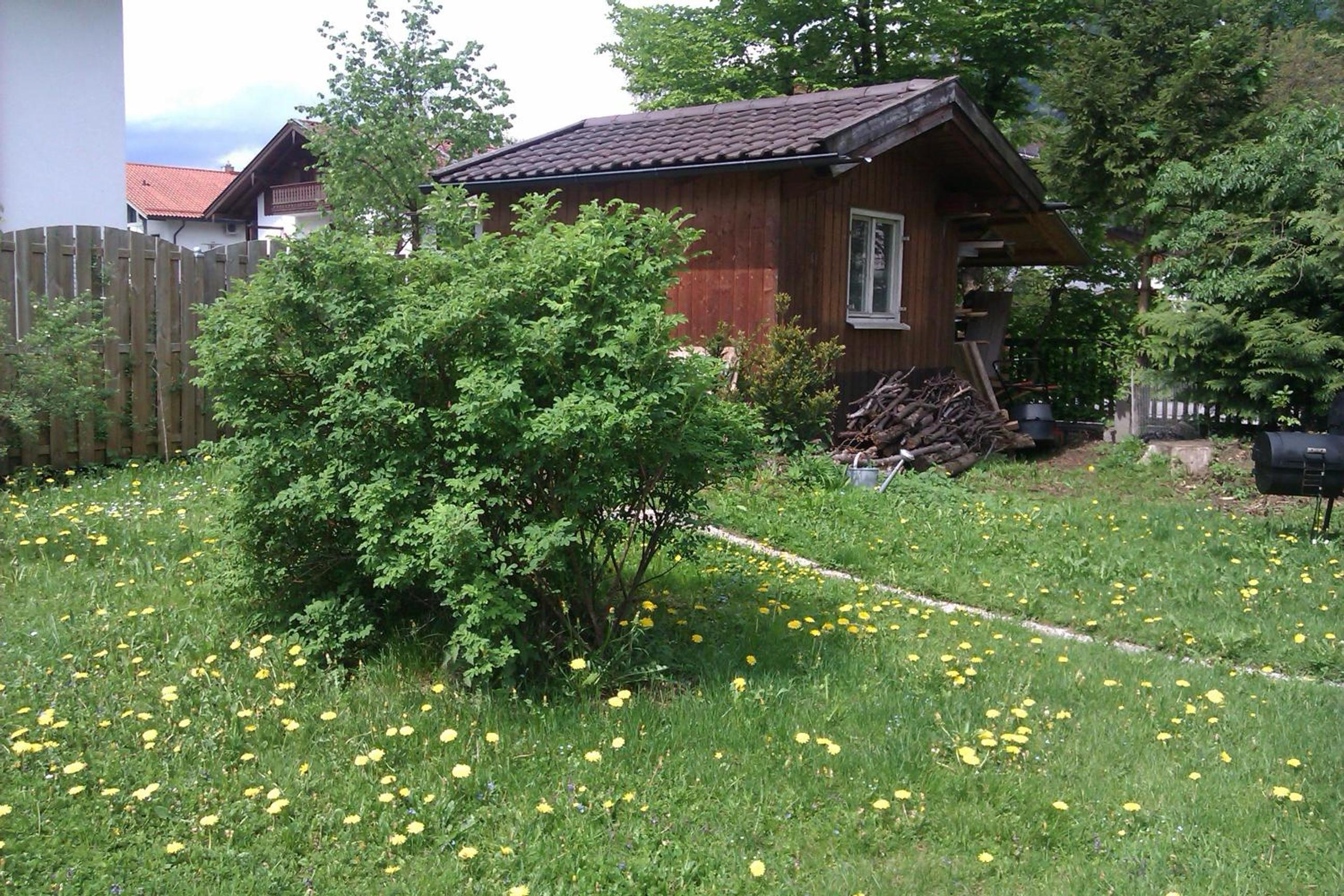 Photo 17
