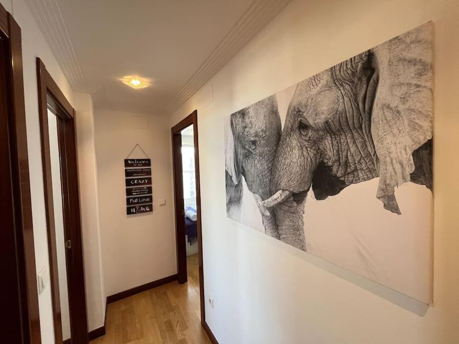 Apartamento La Salvé - Monabri