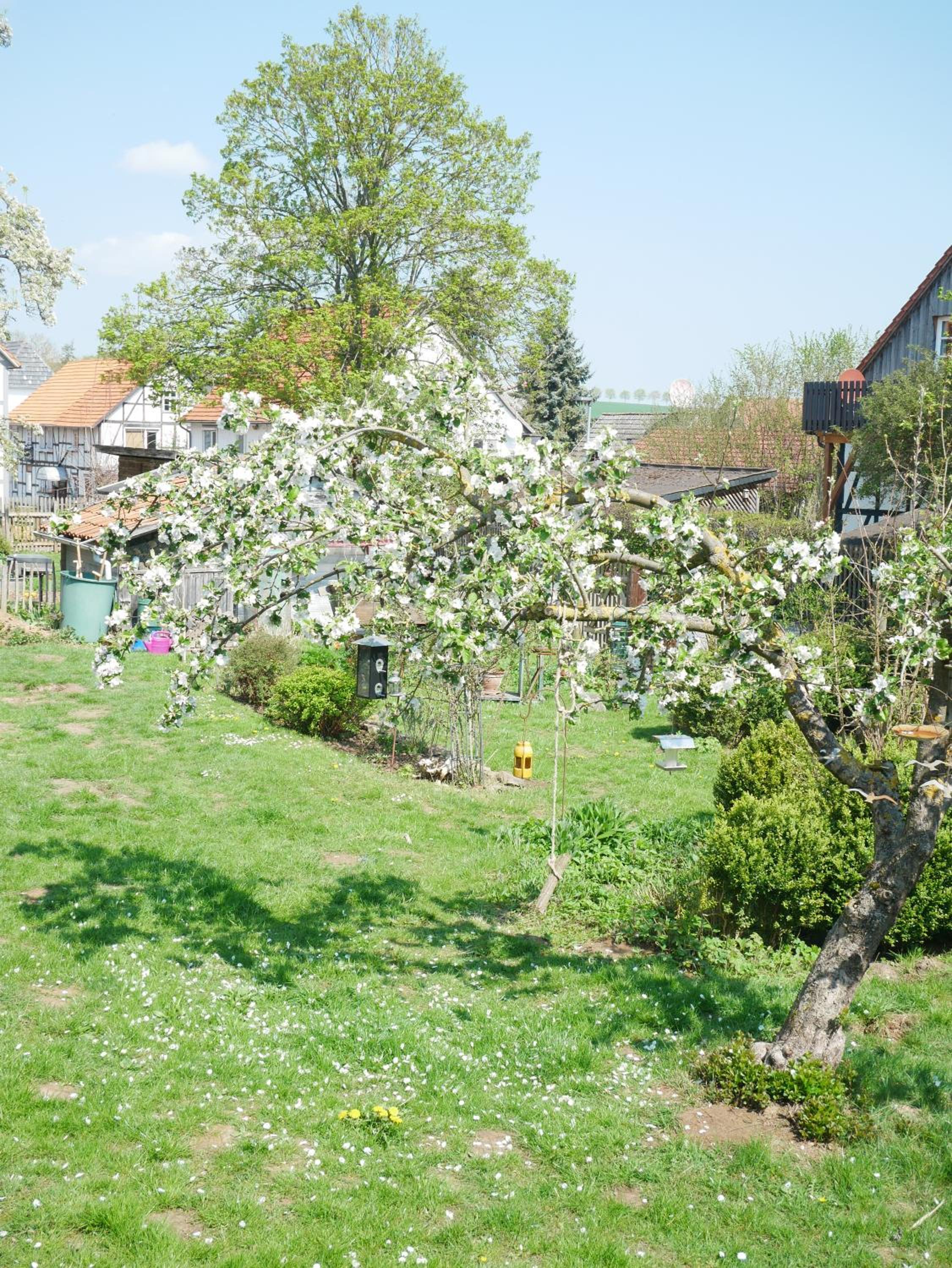 Tiny Ferienhaus Kelze
