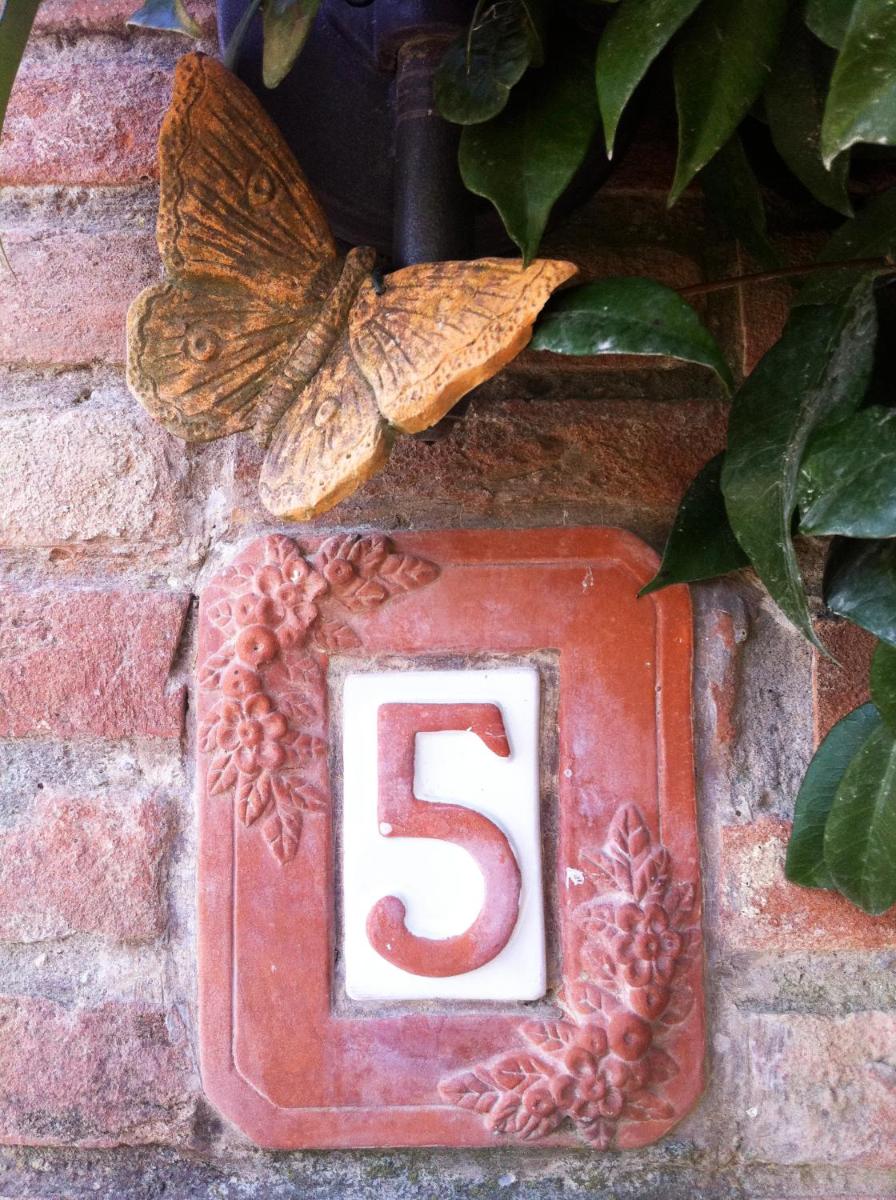 Photo 16
