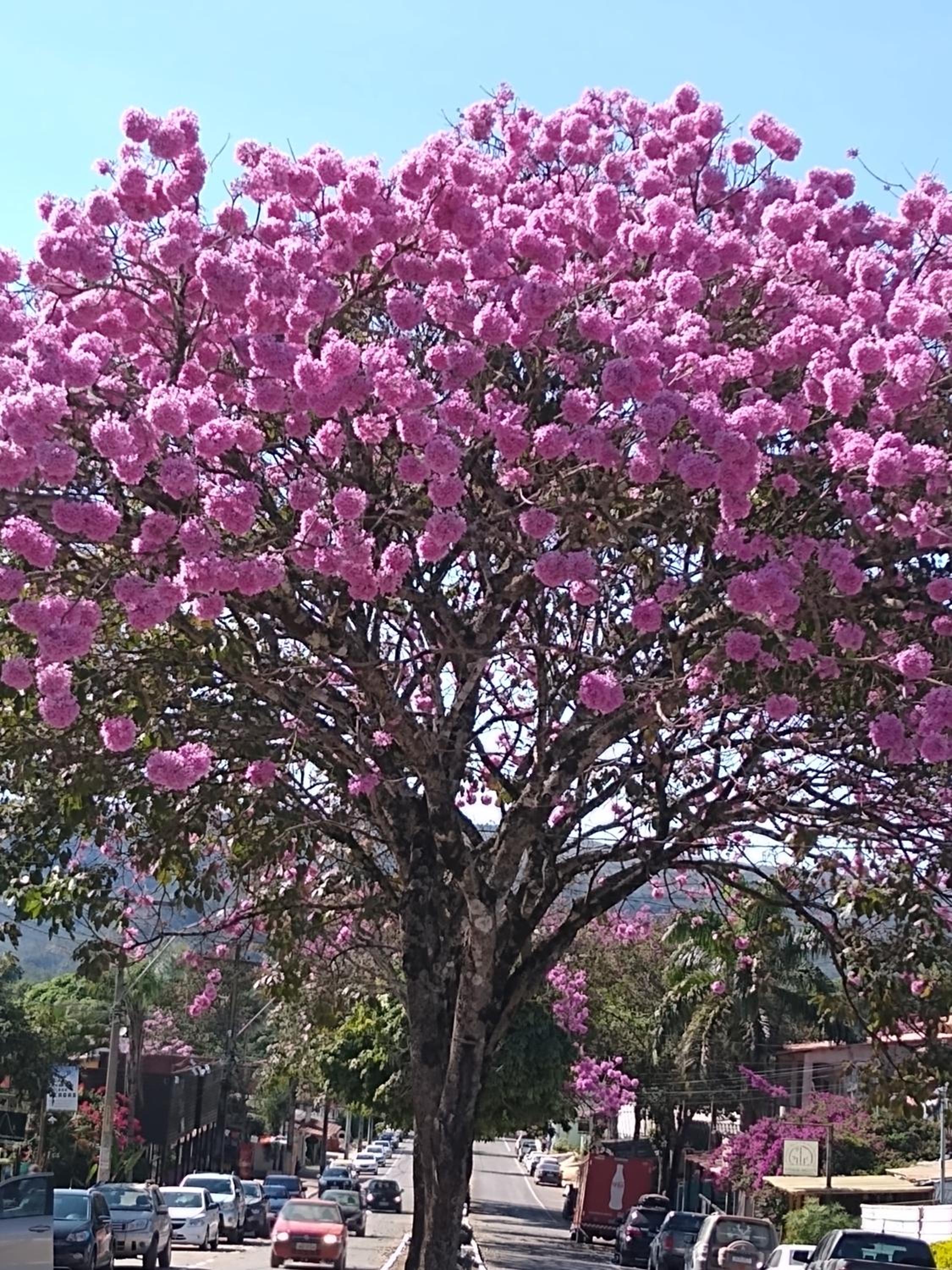Casa dos Buritis-no centro turístico