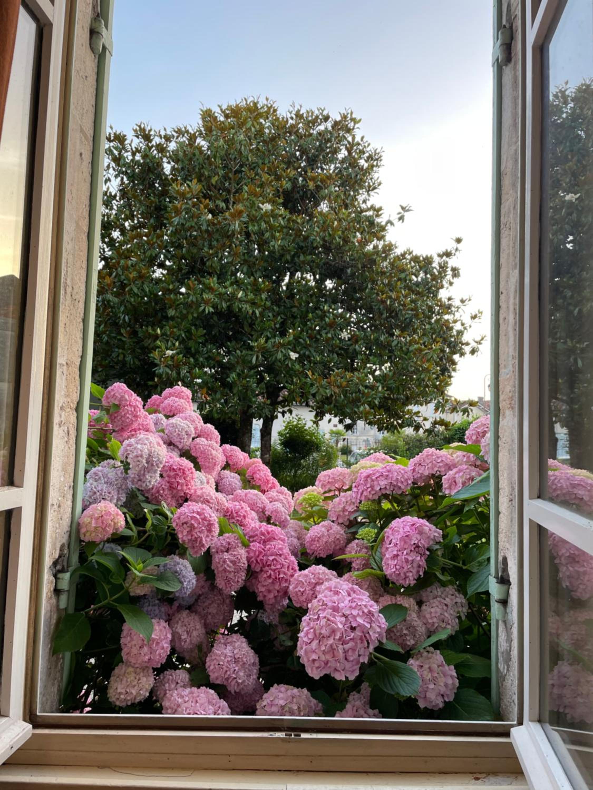 The House of Hortense and Lili view 4