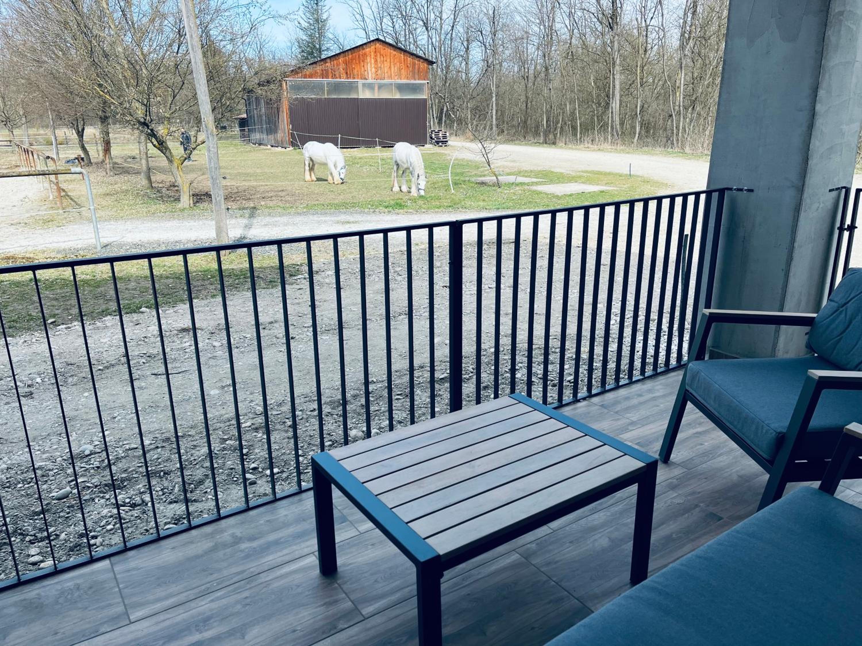 Apartment Country House Zaton