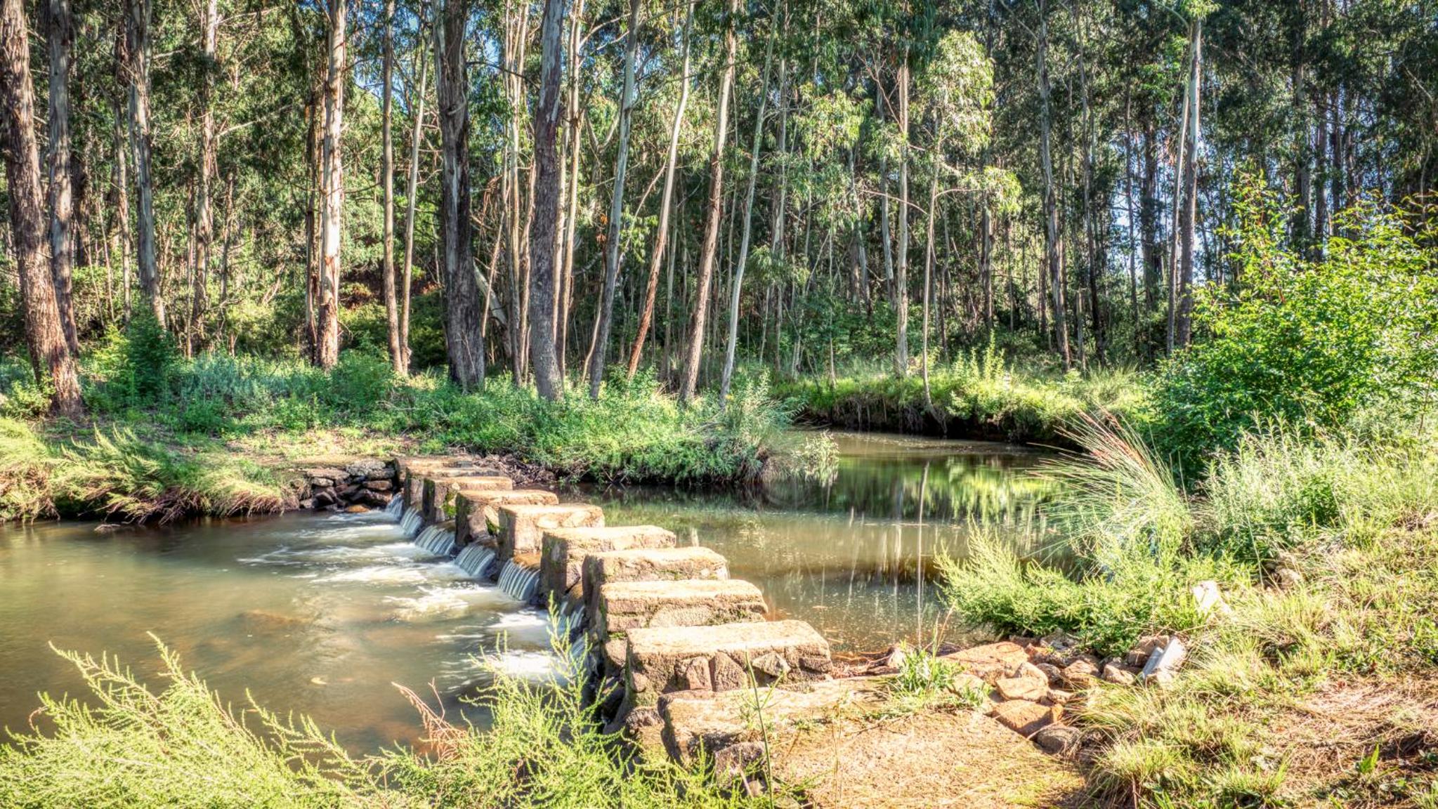 Trout Escape Farm