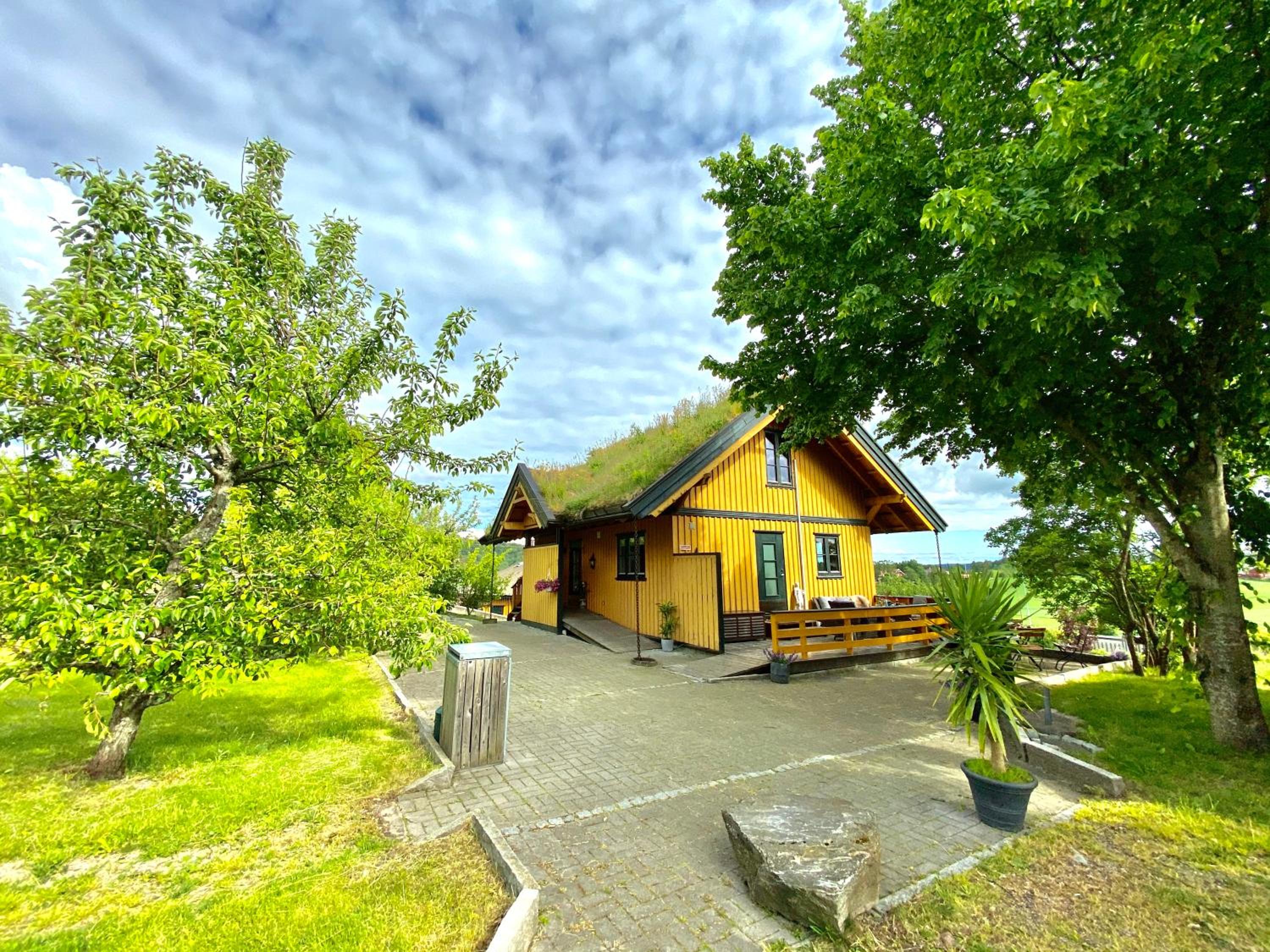 Photo 43