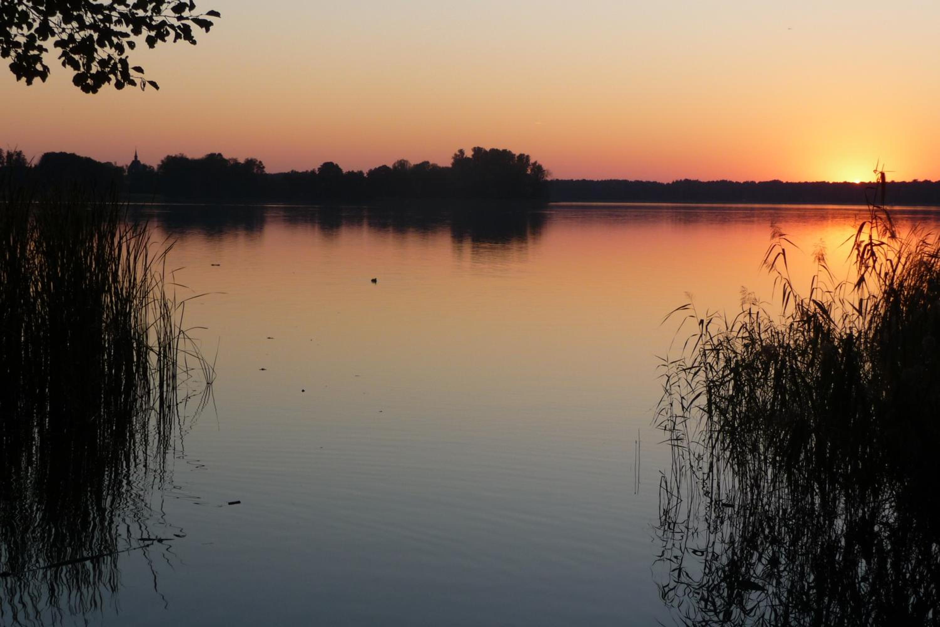 Ferienwohnung-Sonnenparadies-Wandlitz view 5