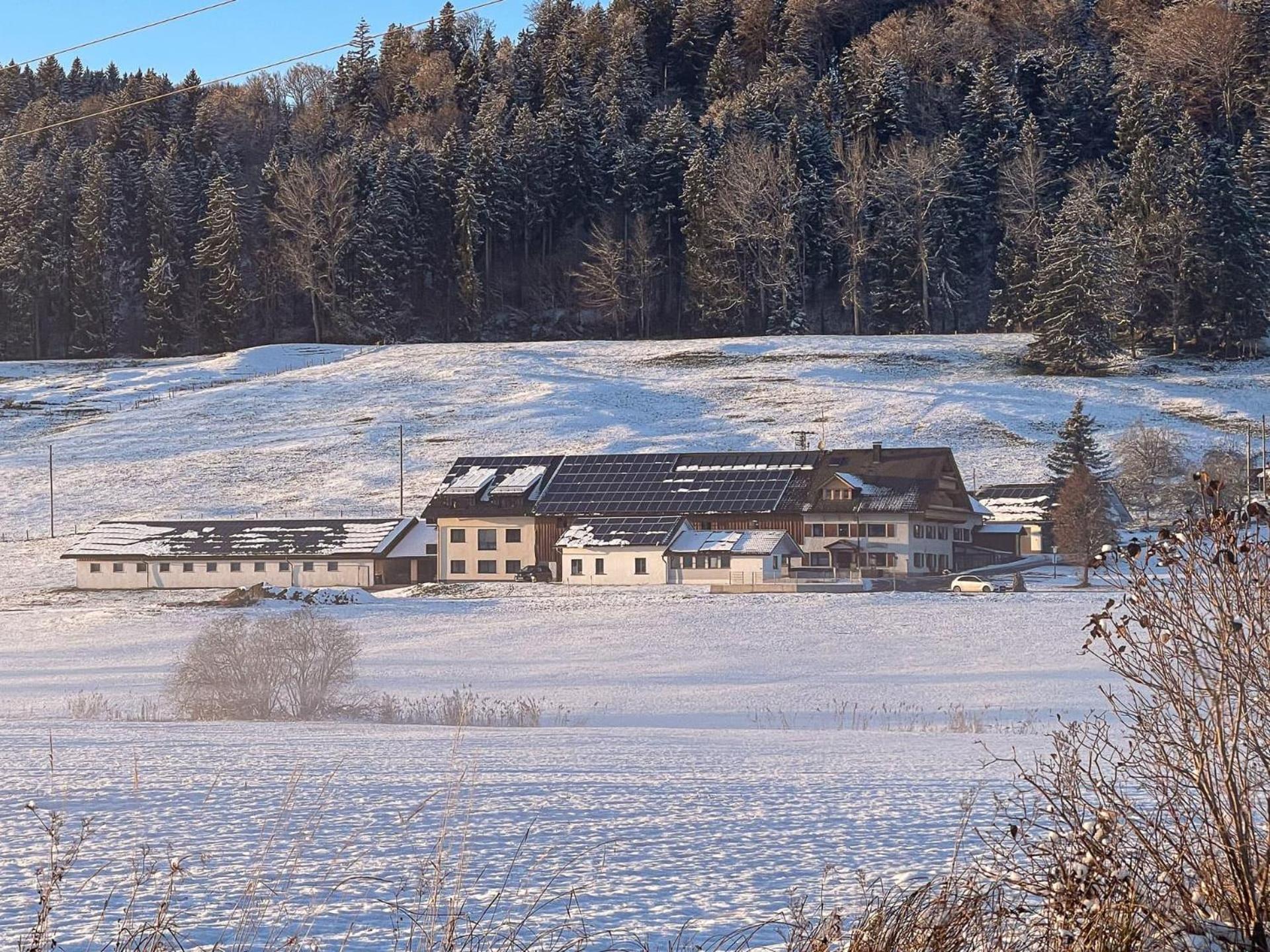 Müller's Stuben