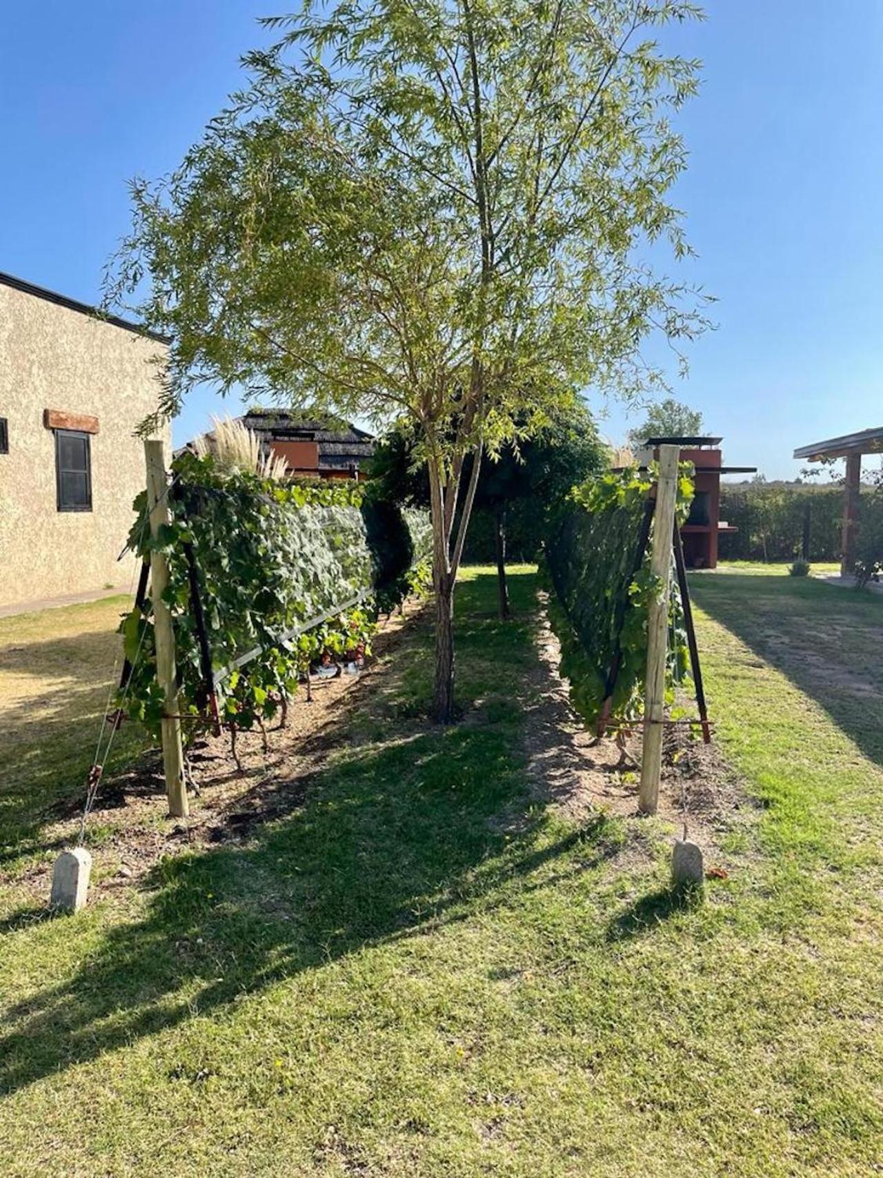 Cabañas Morita Mia