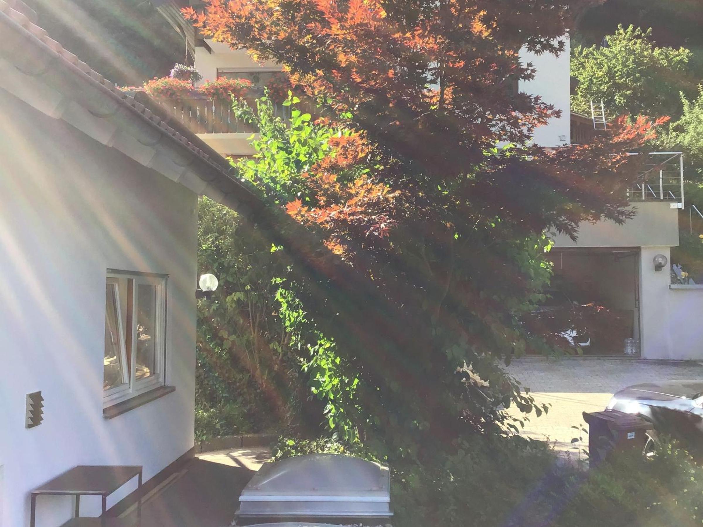 Ferienwohnung Am Eiberg view 5