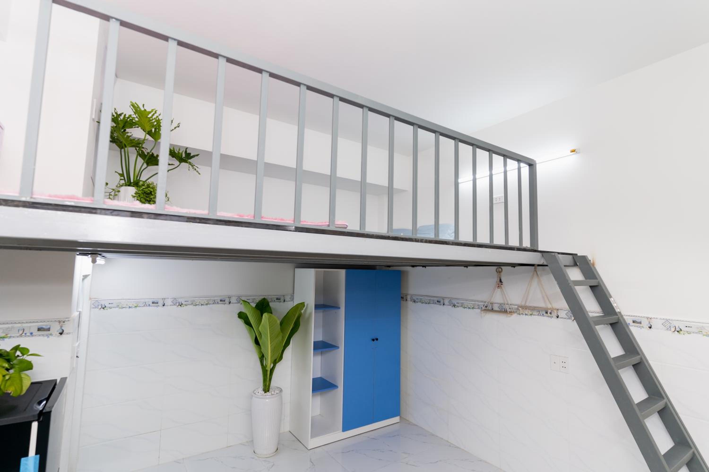 Shiri House