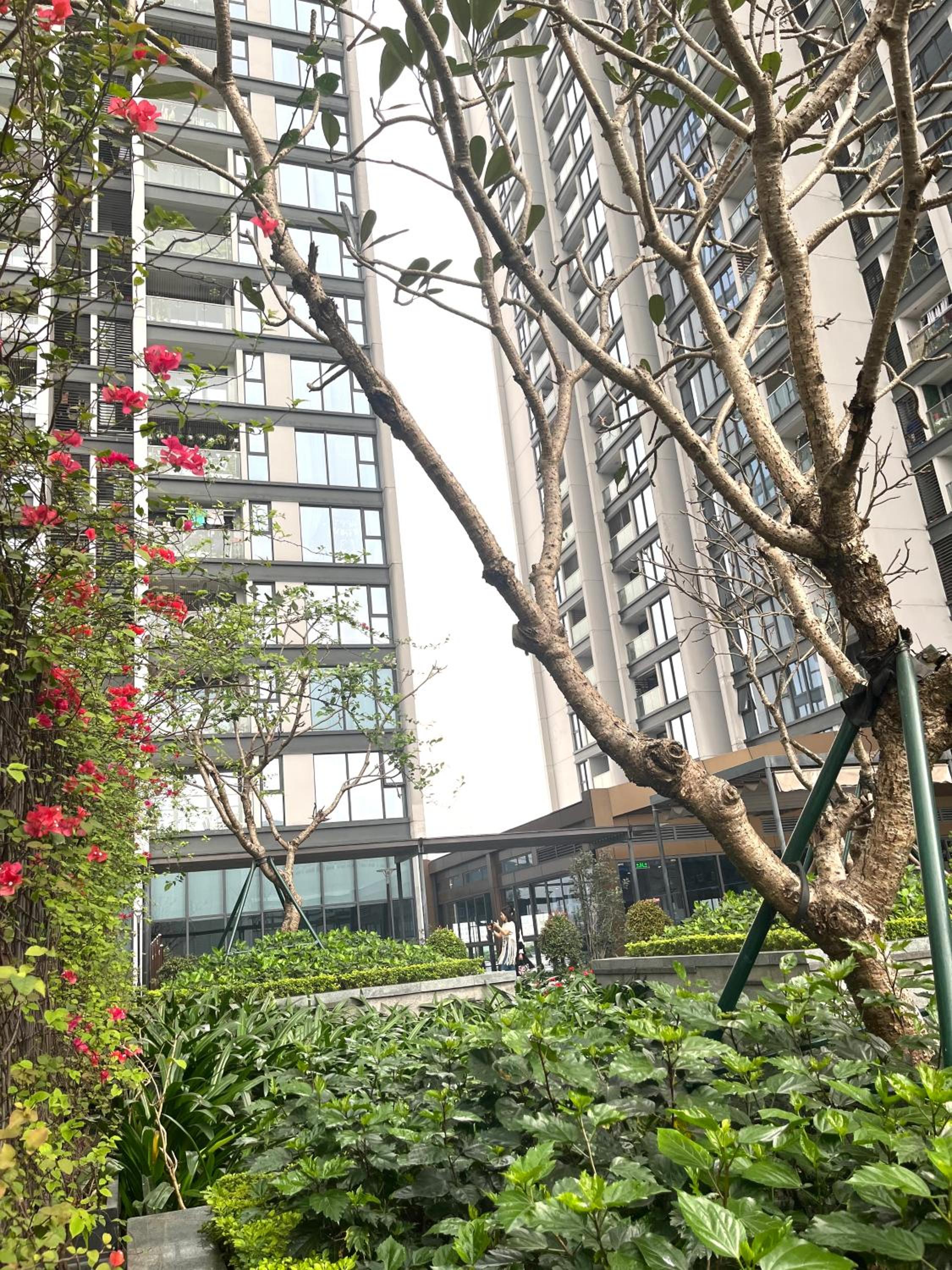 Home stay Metropolis Liễu Giai 2 phòng ngủ