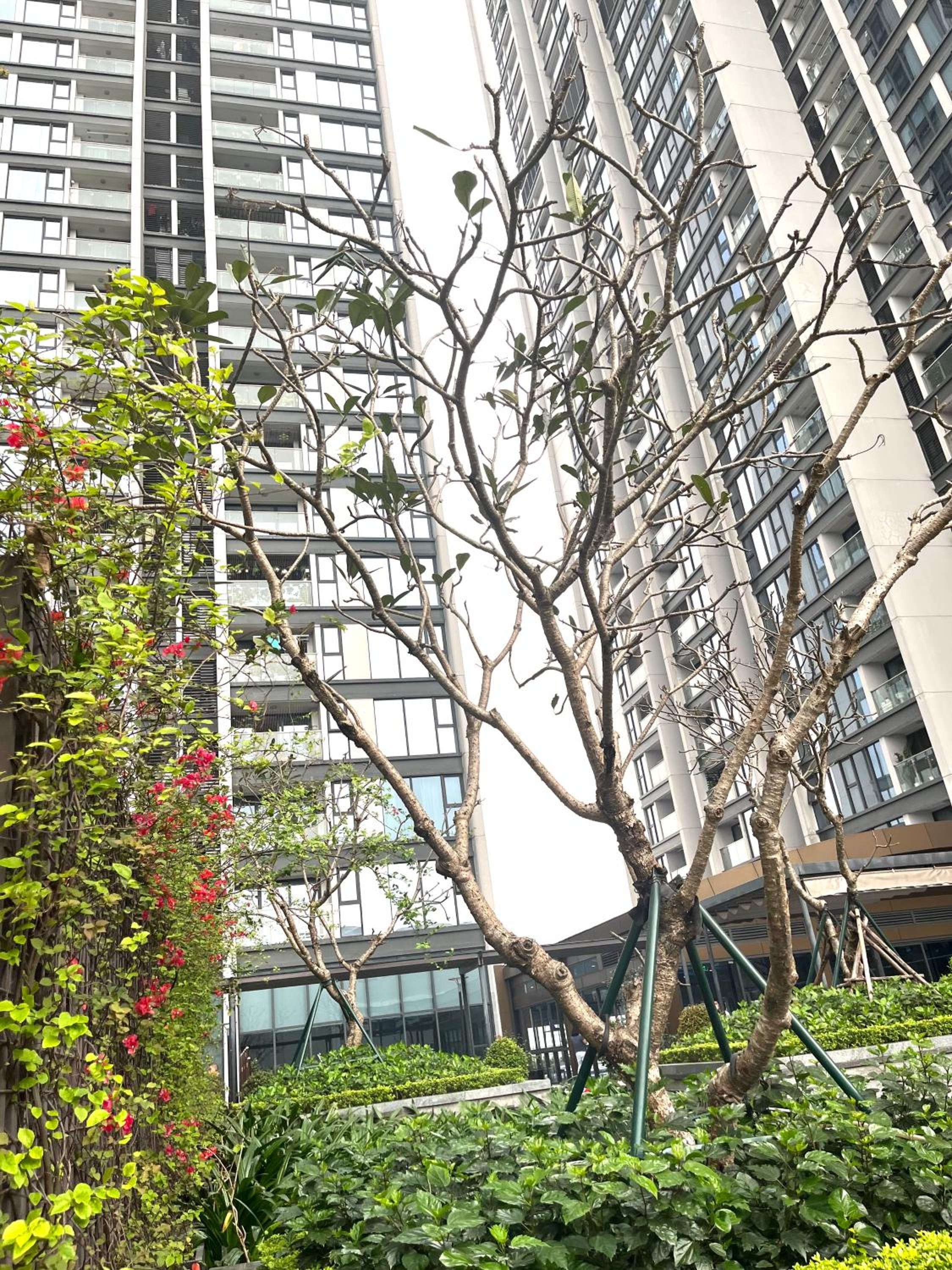 Home stay Metropolis Liễu Giai 2 phòng ngủ