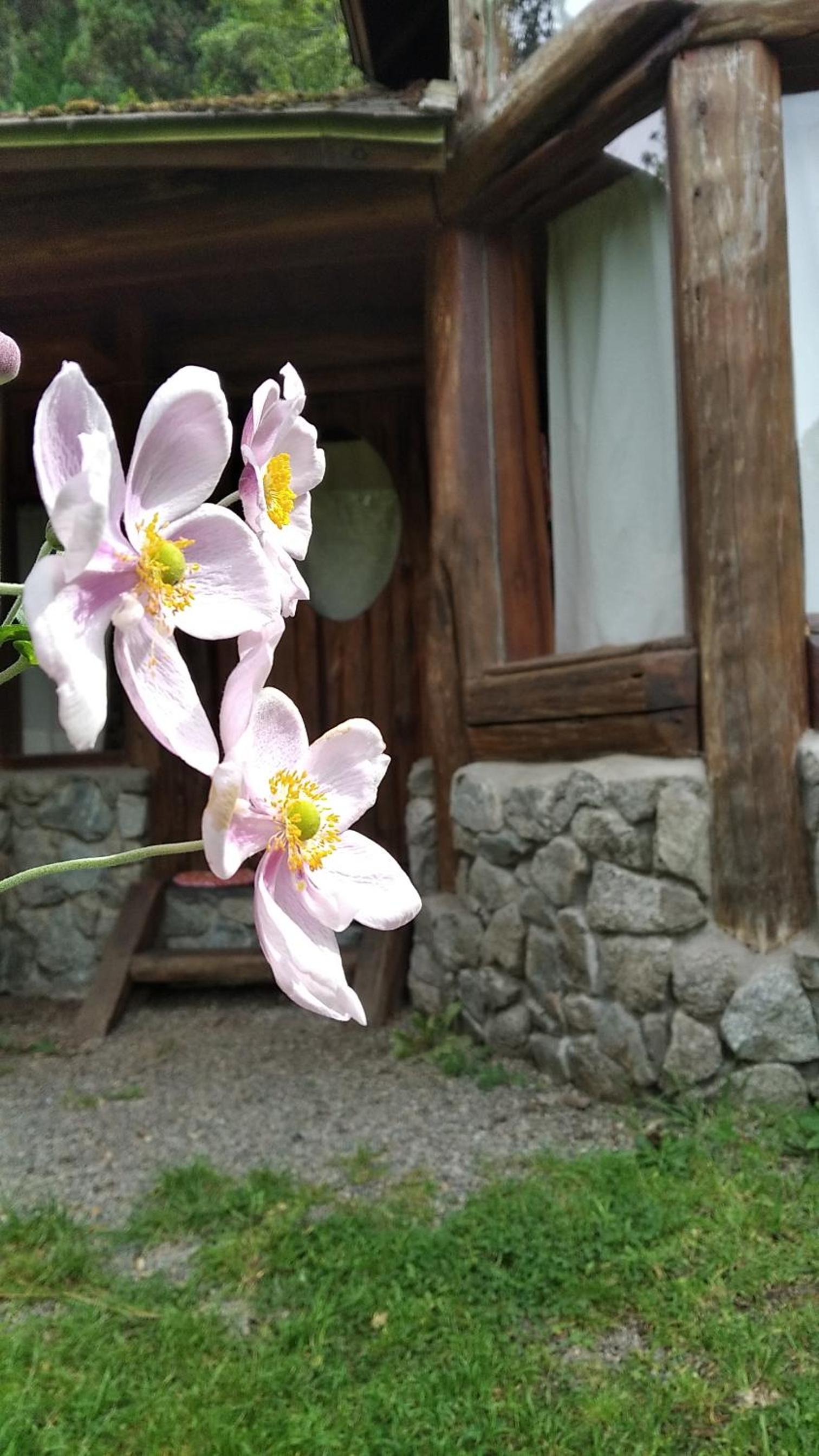 Cabaña Las Tejas
