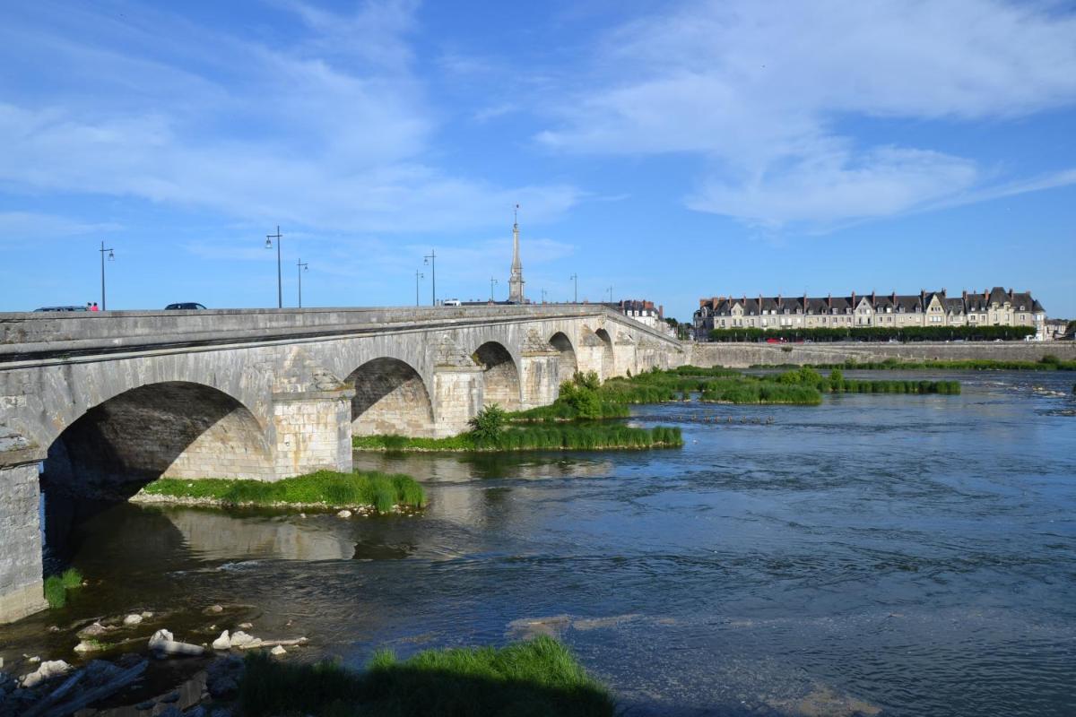 Entre Loire et Chateau