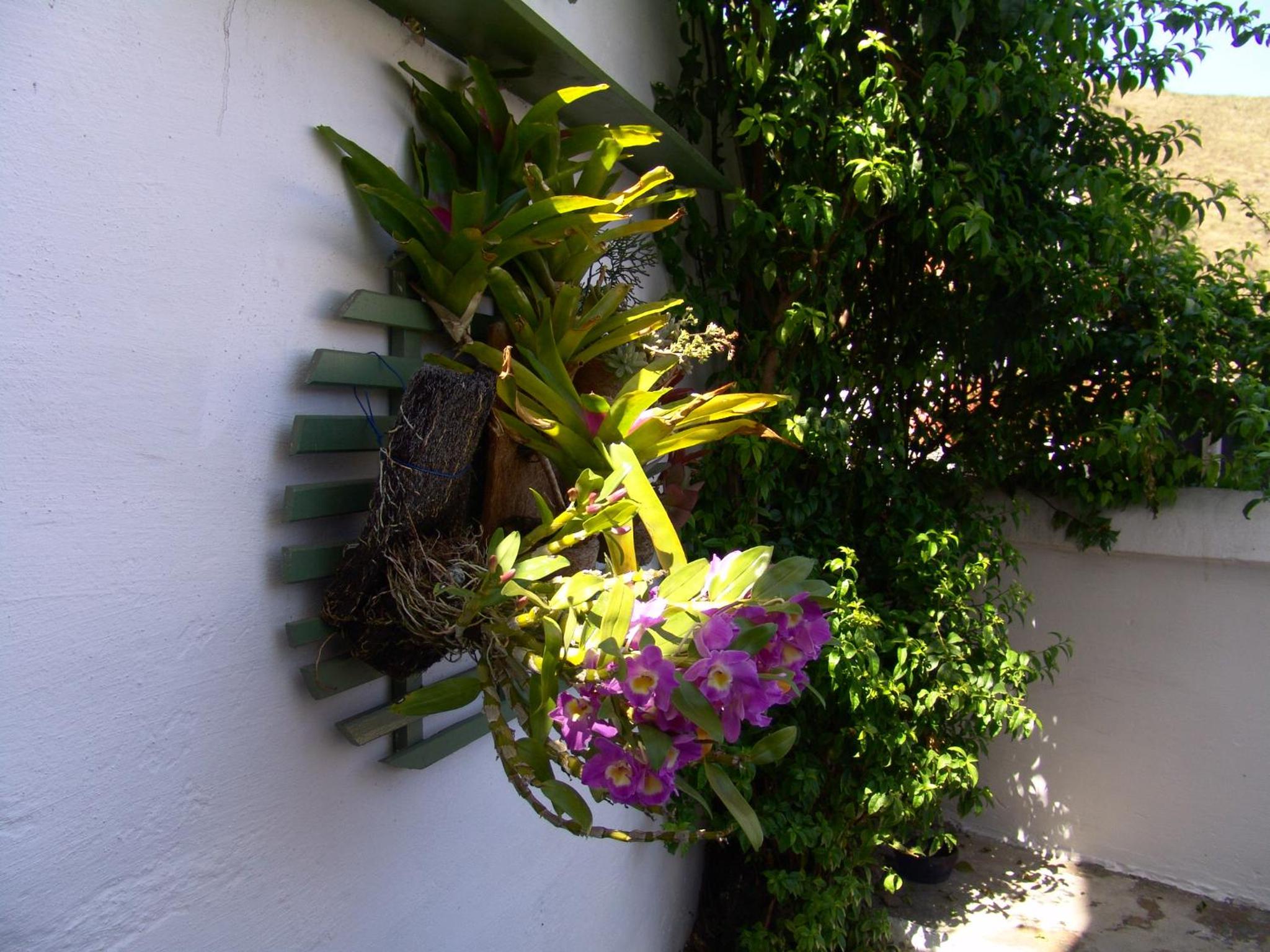 Casa de João