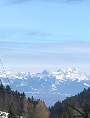 Entire cozy chalet in St-Cergue - 30 min from Geneva