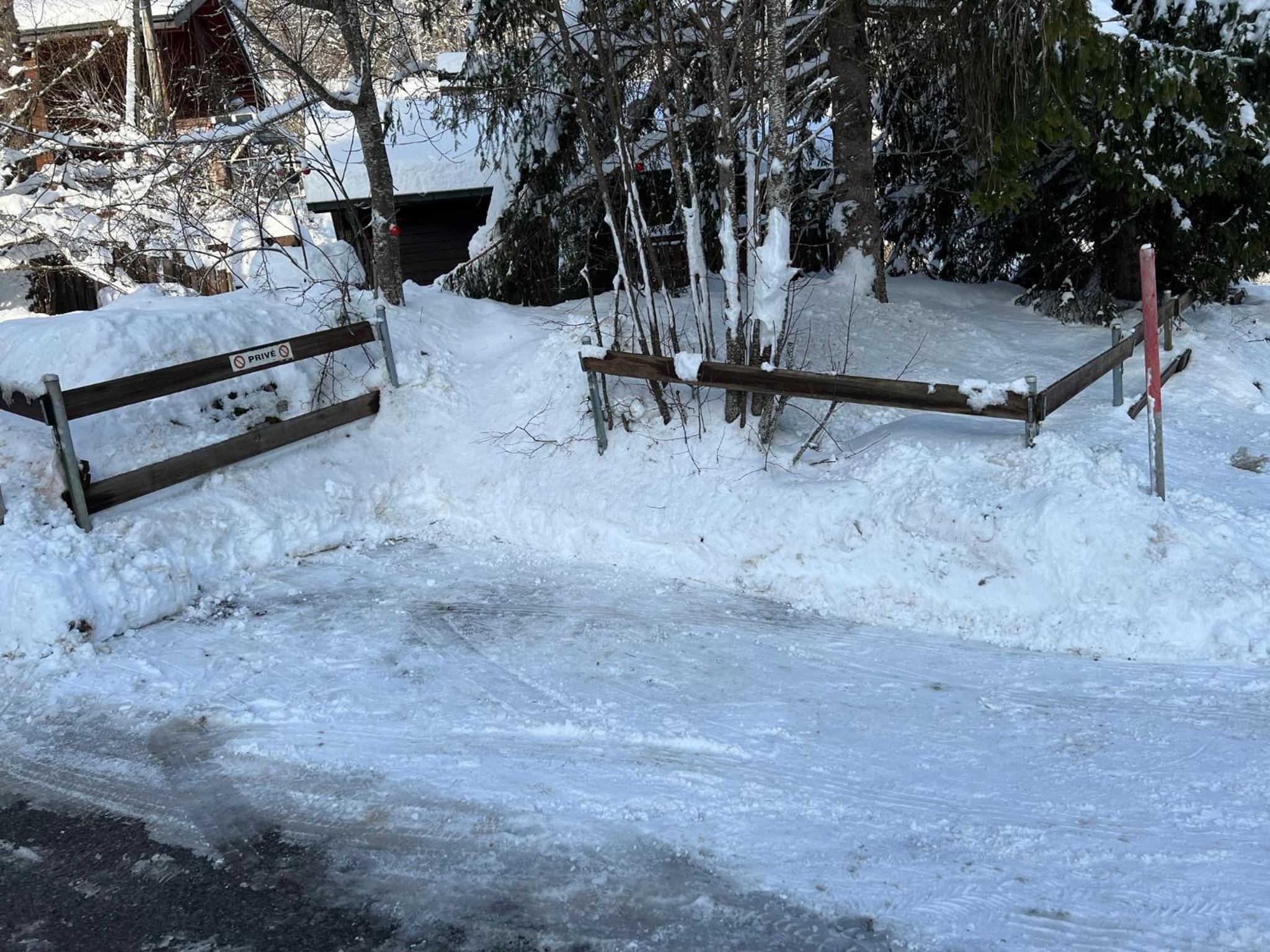 Entire cozy chalet in St-Cergue - 30 min from Geneva