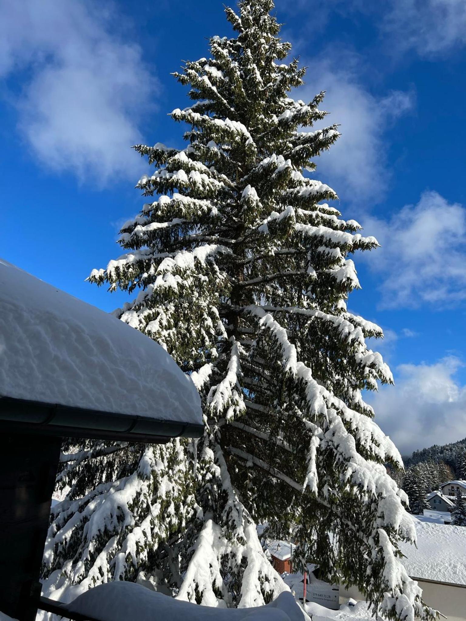 Entire cozy chalet in St-Cergue - 30 min from Geneva
