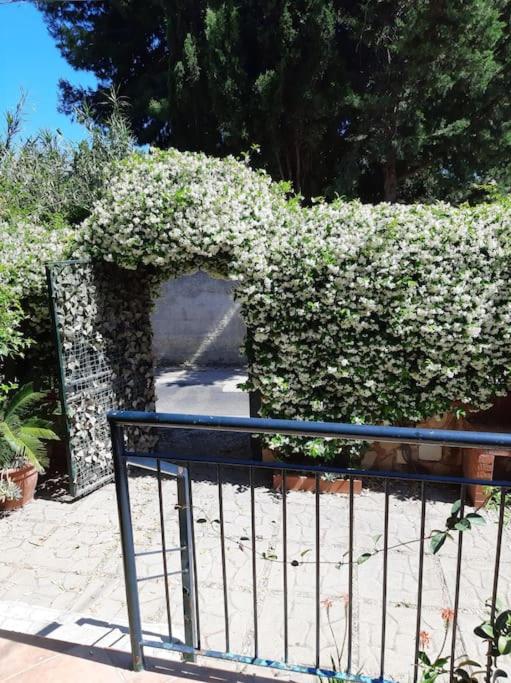 casa di Enrico view 5