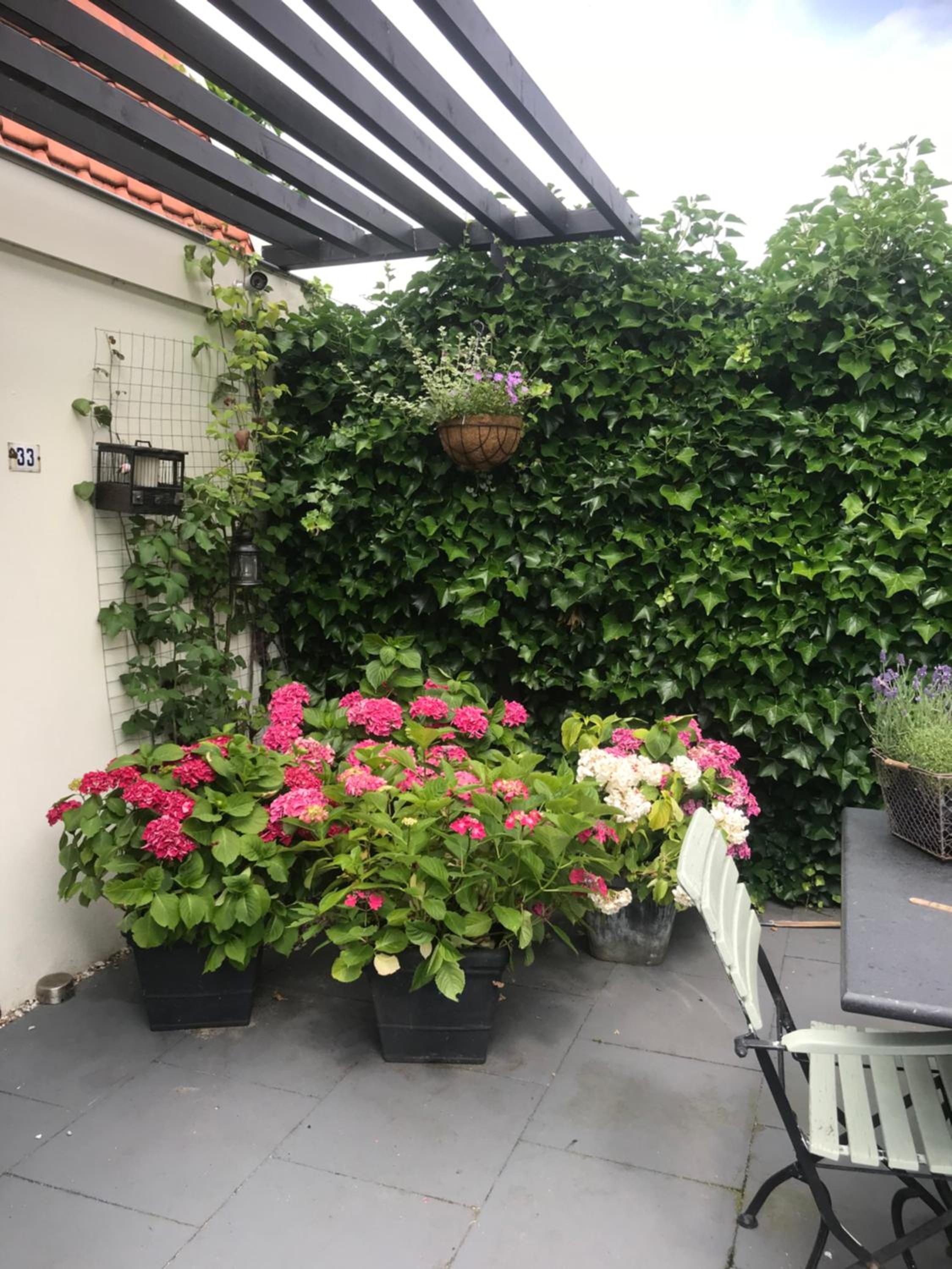 Bed & Breakfast Diemerbrug
