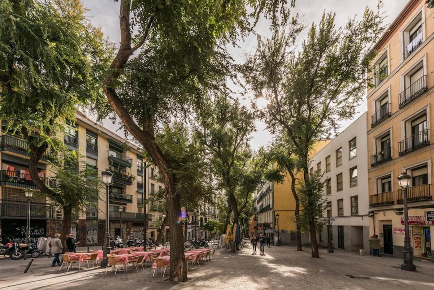 Luminoso Apartamento en Lavapiés-Tirso de Molina
