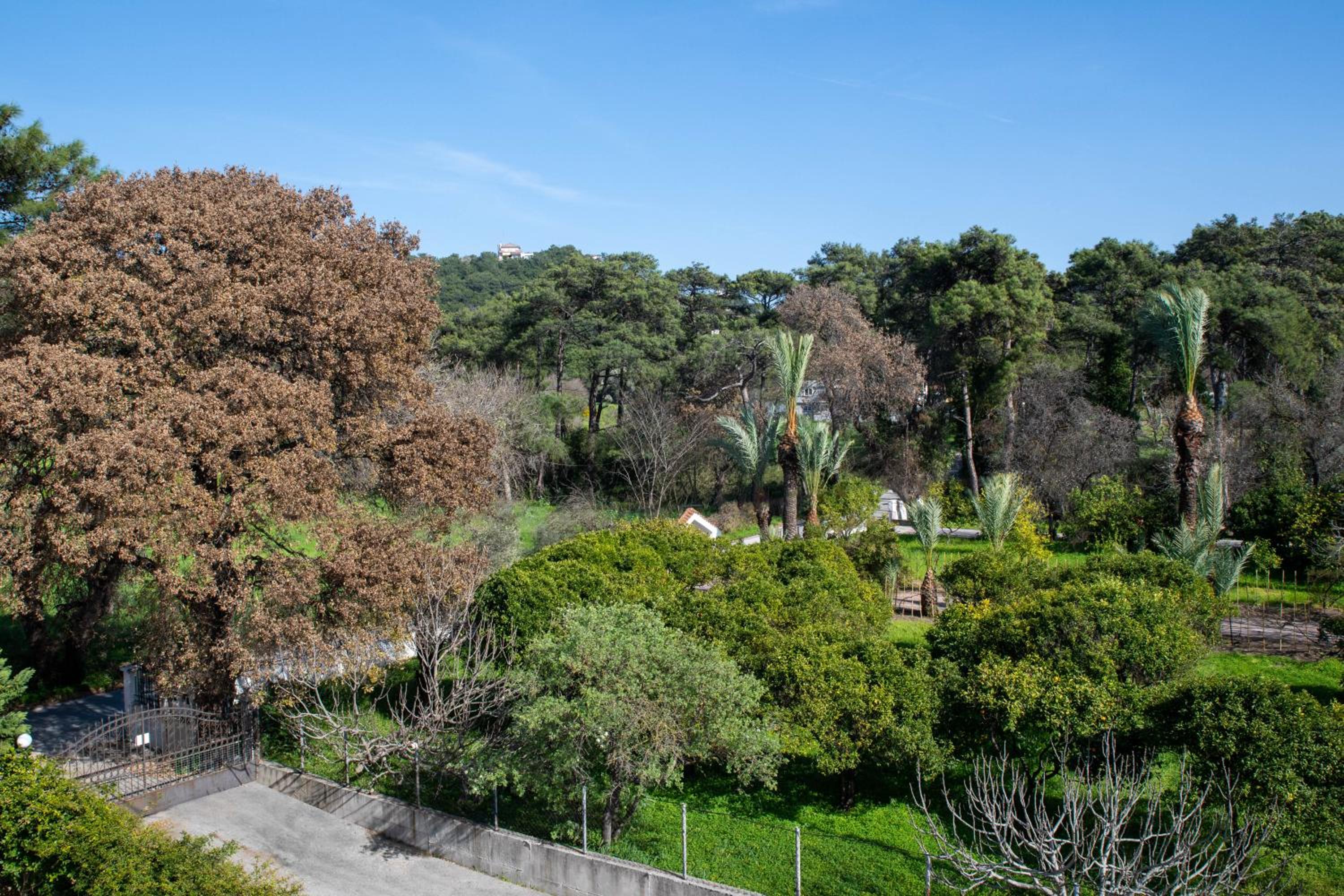 Villa - 1st Floor view 3
