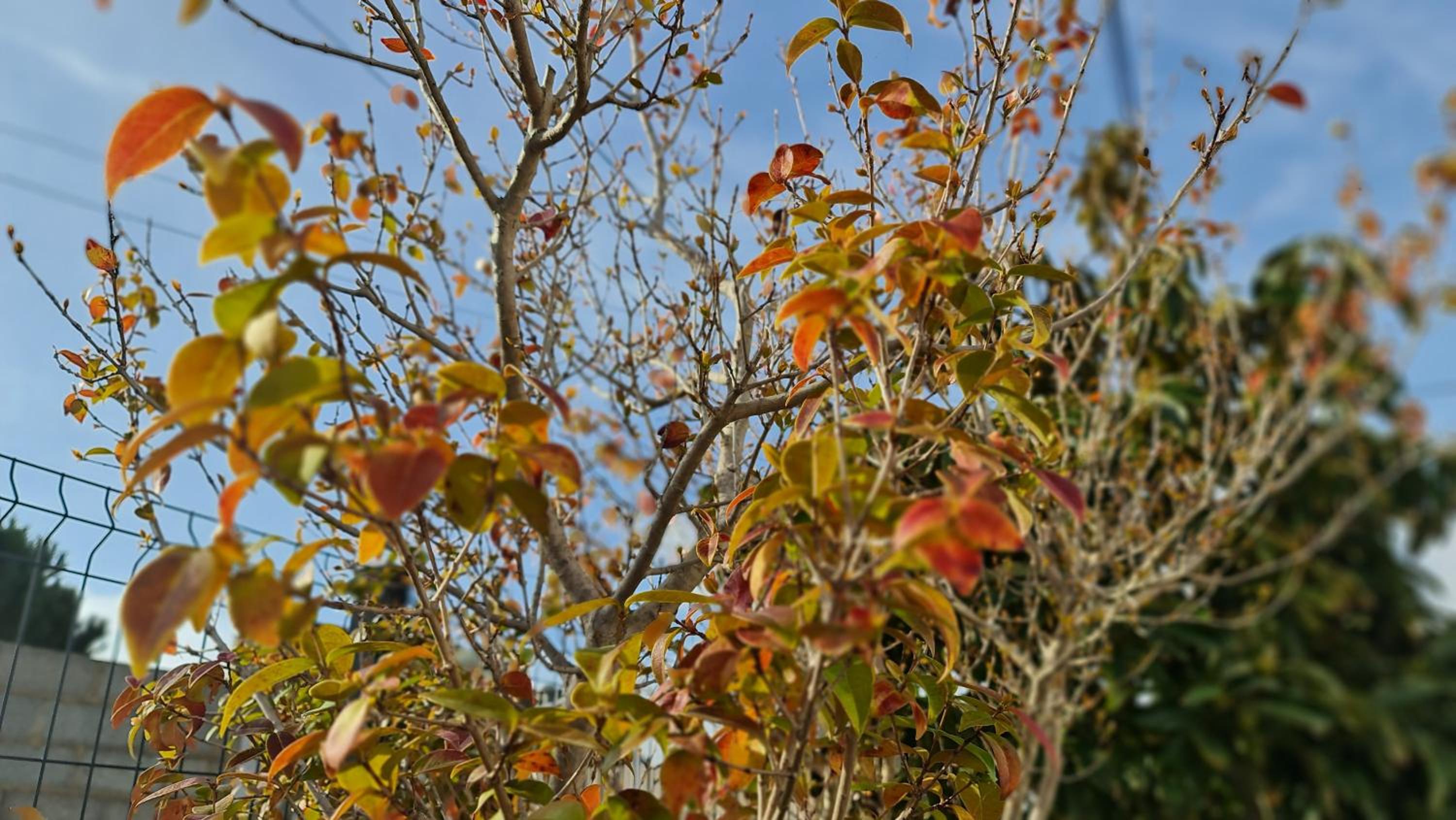 Photo 45