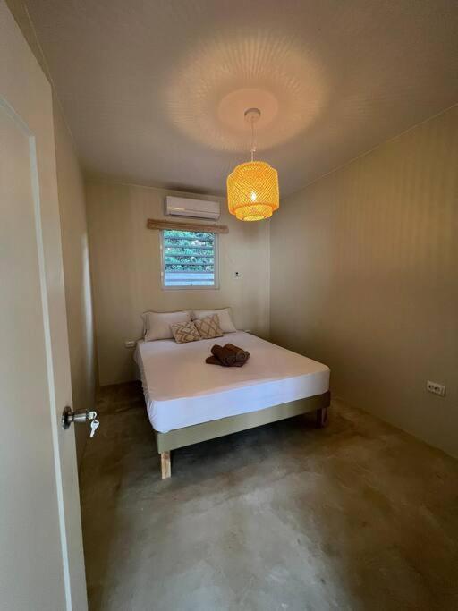 Appartement Zazu