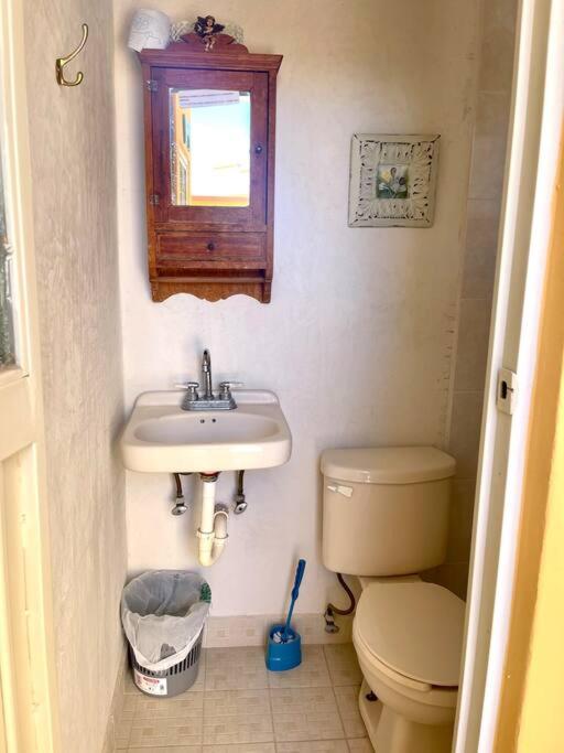 Photo 43