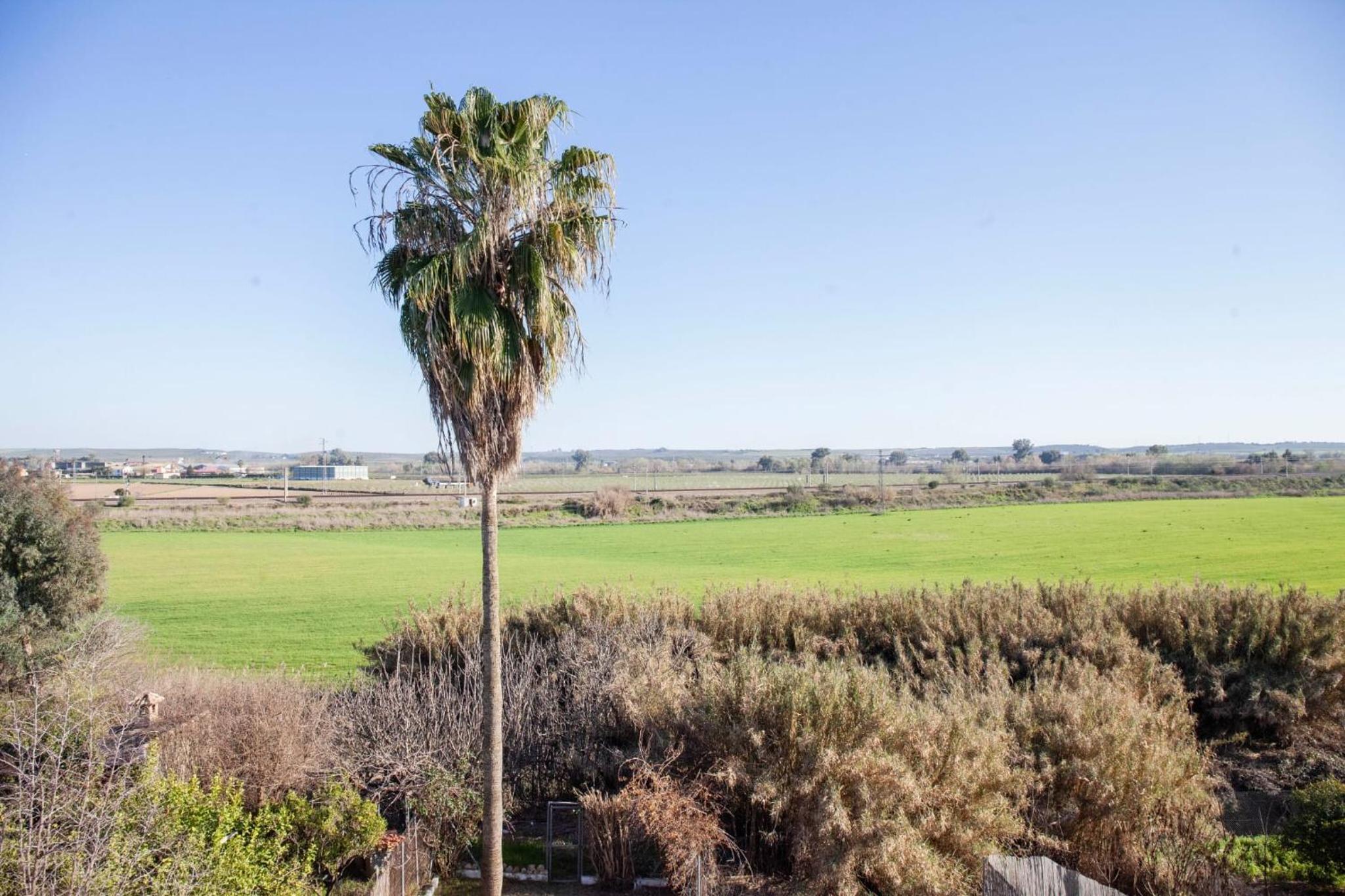 Casa Rural La Palmera