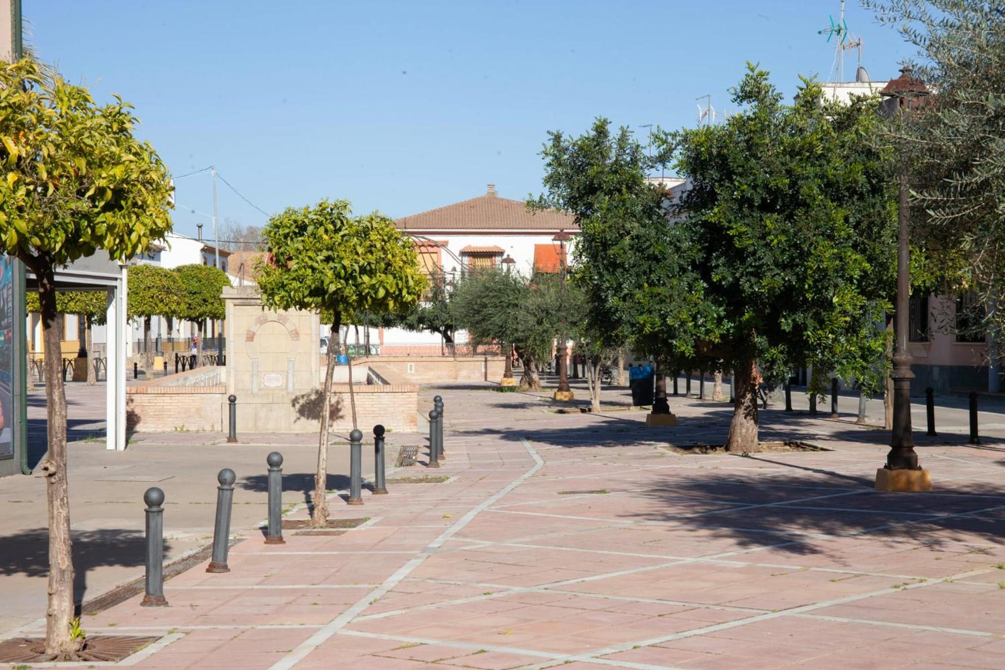 Casa Rural La Palmera