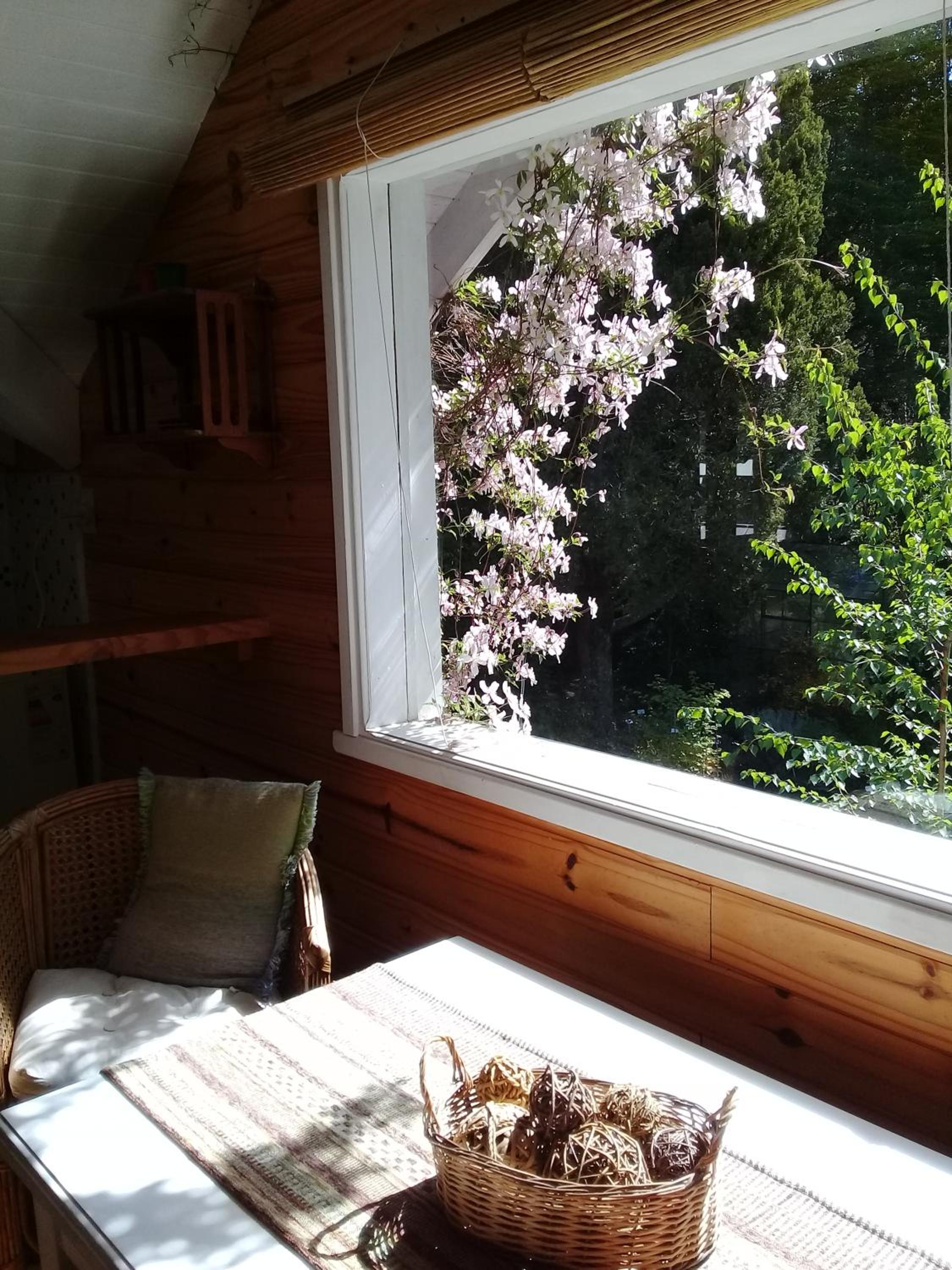 Dodo House Bed & Breakfast