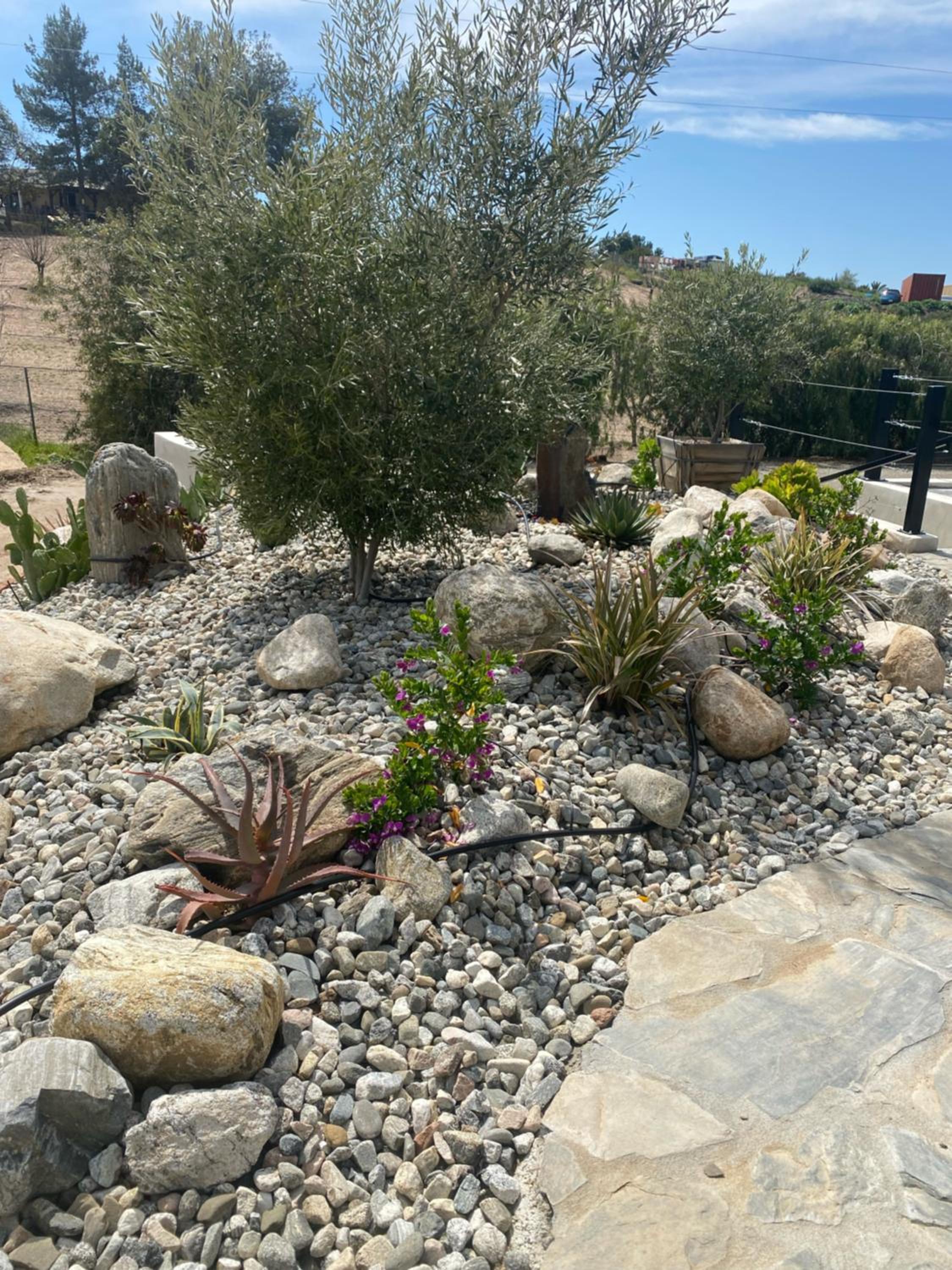 Hidden Hacienda