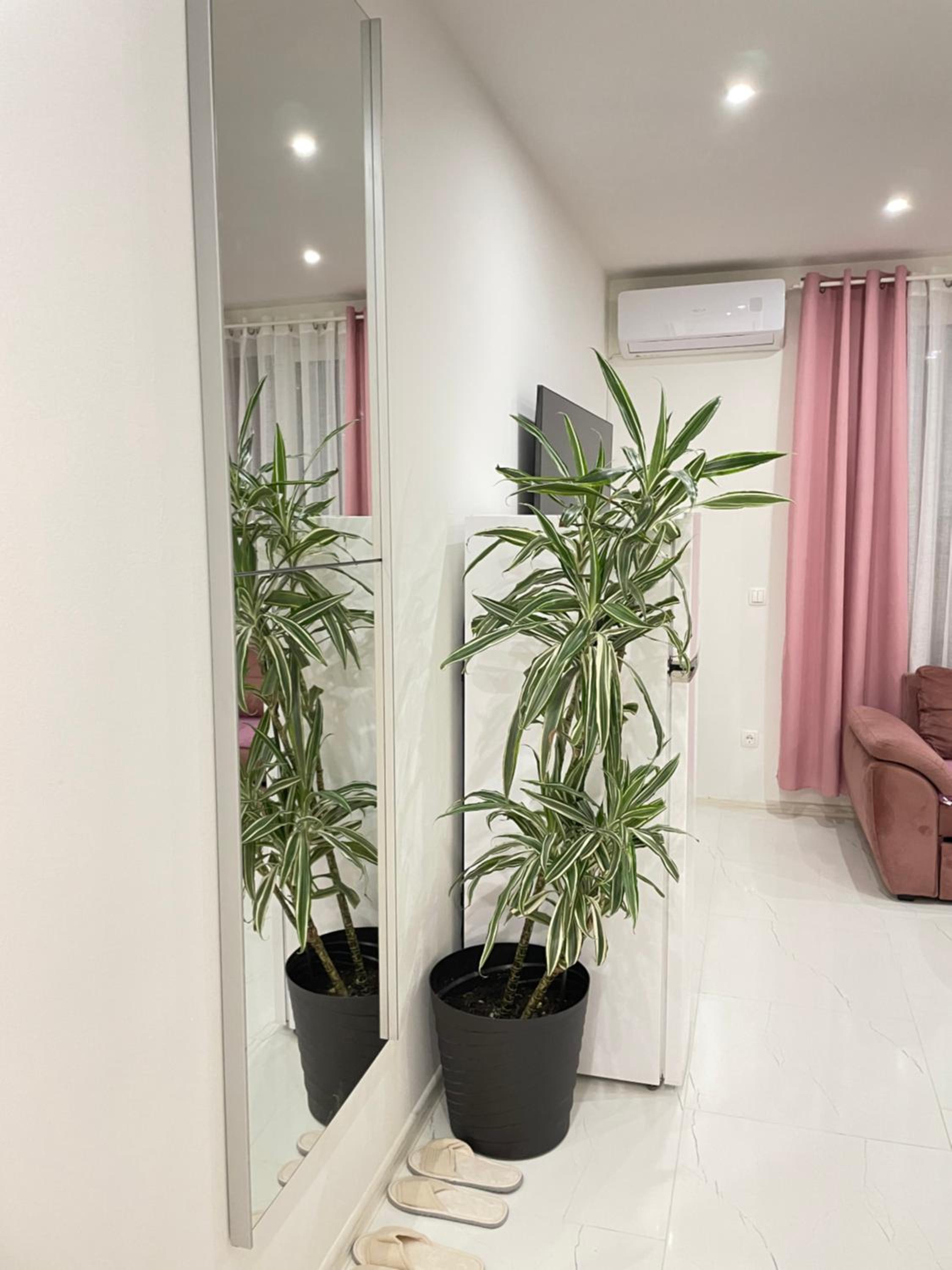 Apartmani MURIC Ljubljana view 4