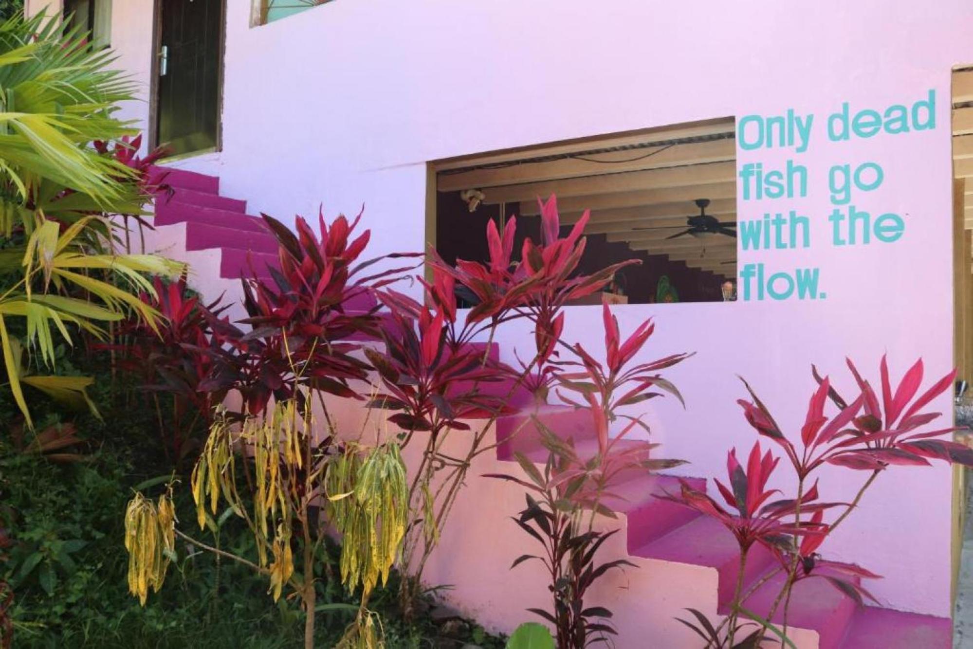 Planet B Hostel - Adults Only