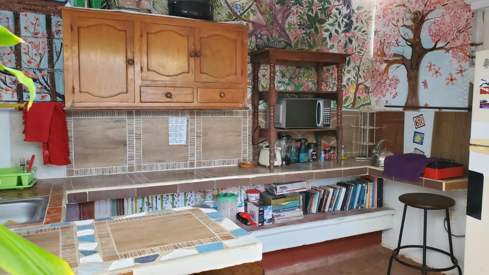 Photo 6