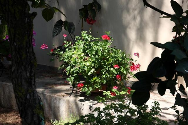 Villa Vivere