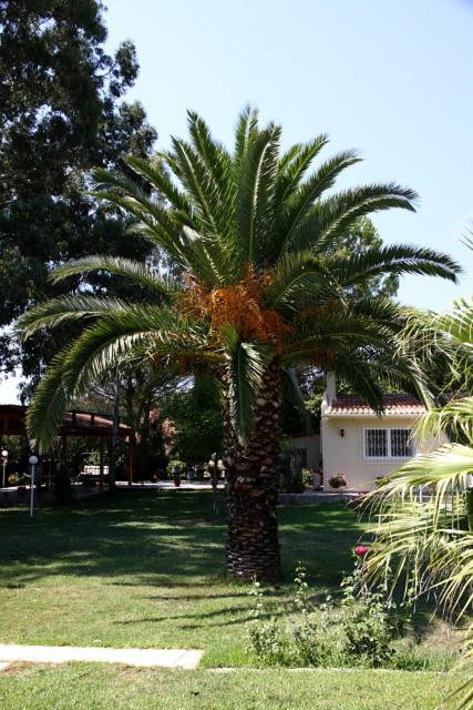 Villa Vivere