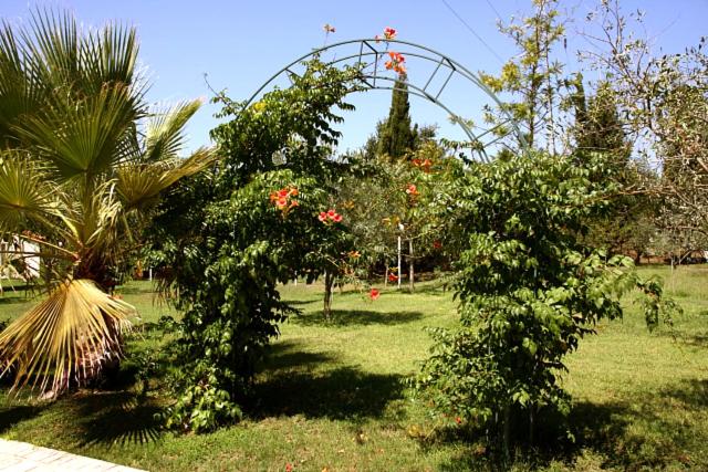 Villa Vivere