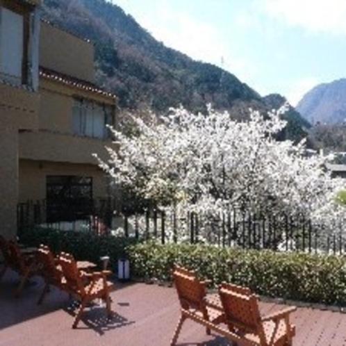 Hotel Okuyumoto, Hakone - 24