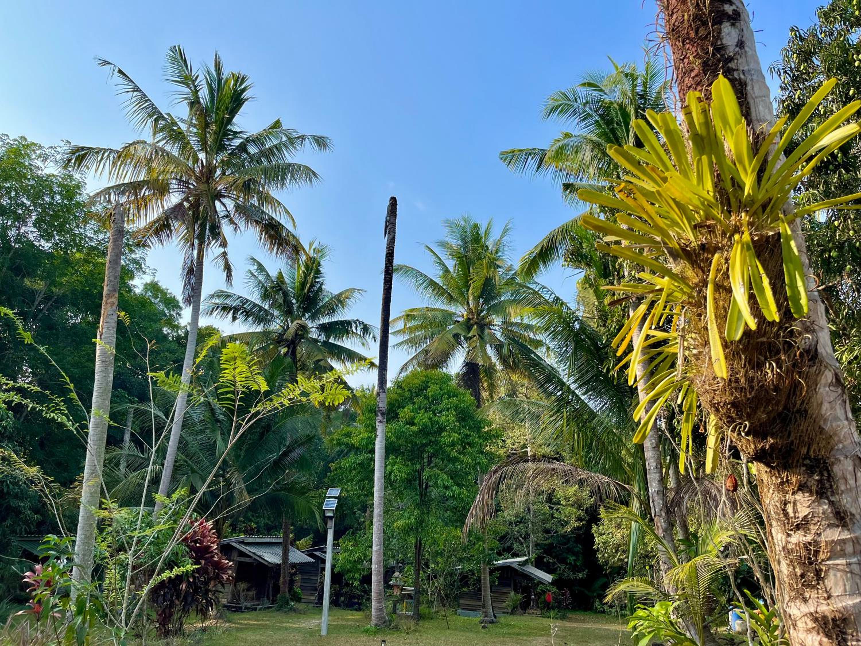 Eve house koh kood view 2