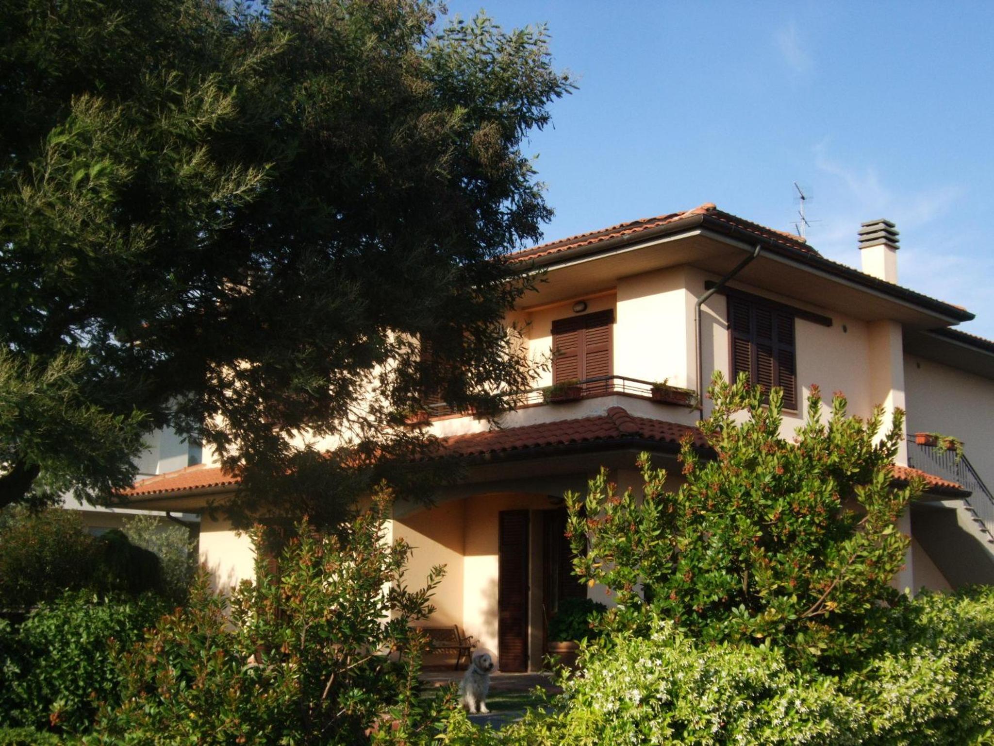 Photo 44