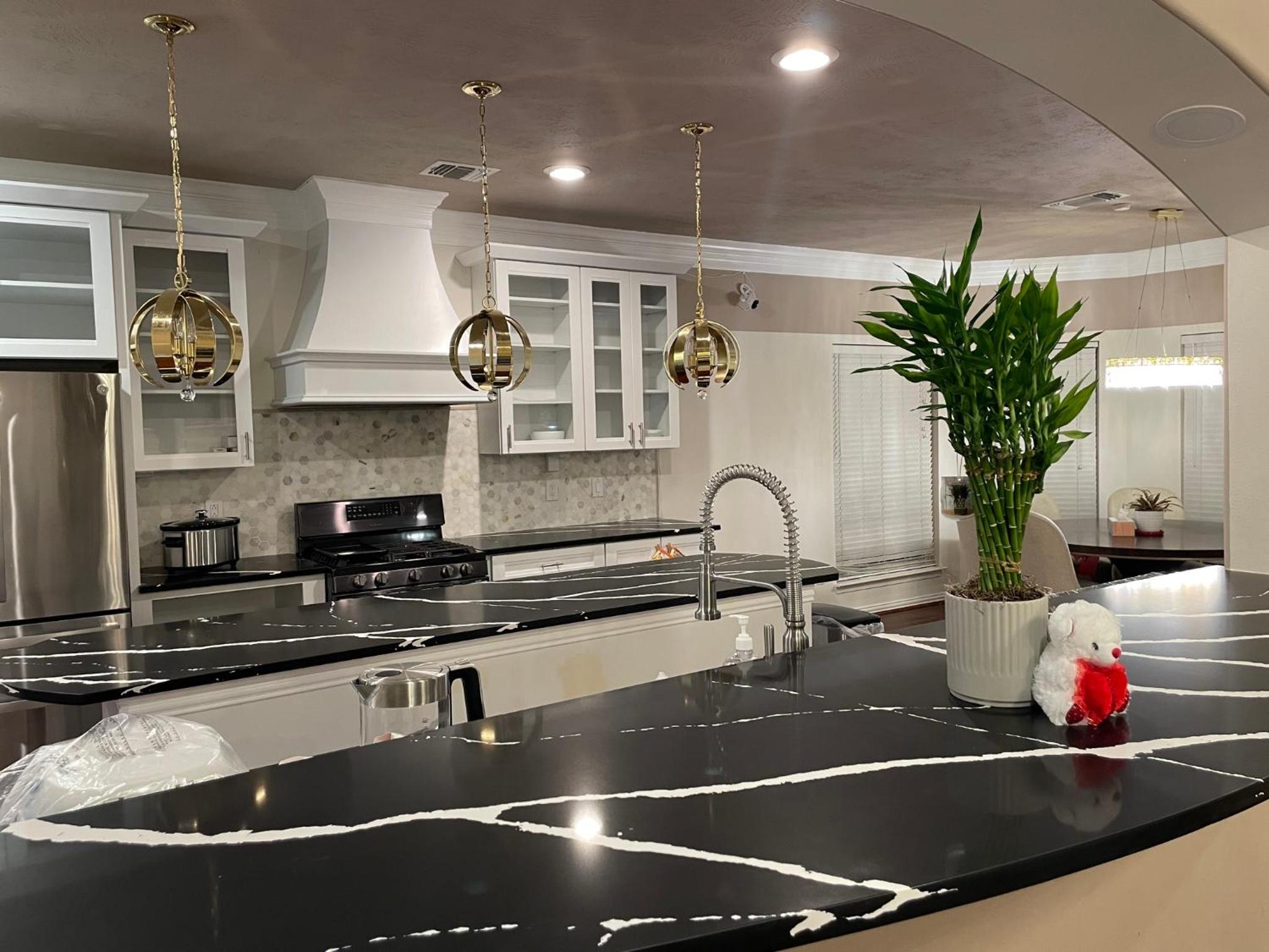 AFRA Home with huge garden Houston, Texas