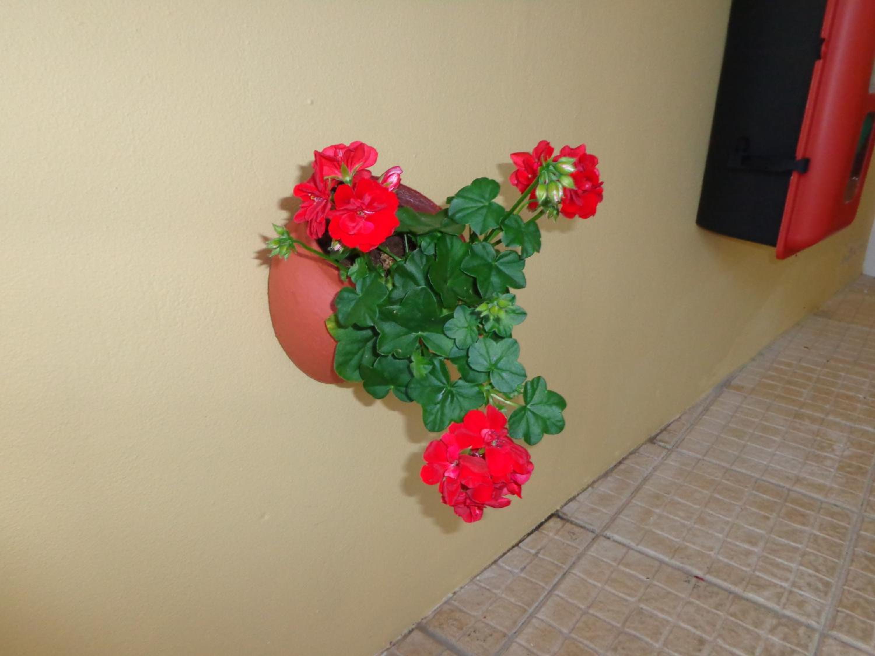 Photo 35