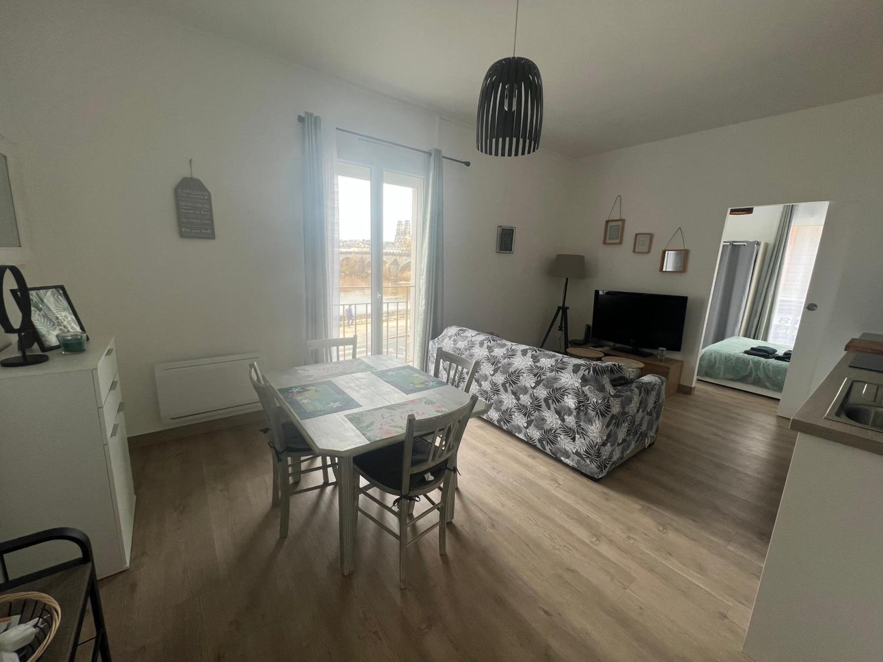Cosy Loire, T2 neuf, front de Loire ,vue cathédrale,5min à pied centre ville et parking privé
